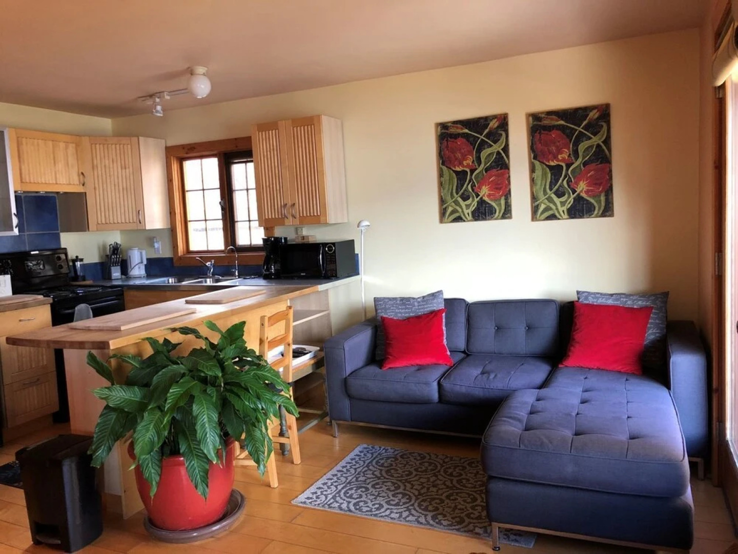 Ainsworth Springs Suites