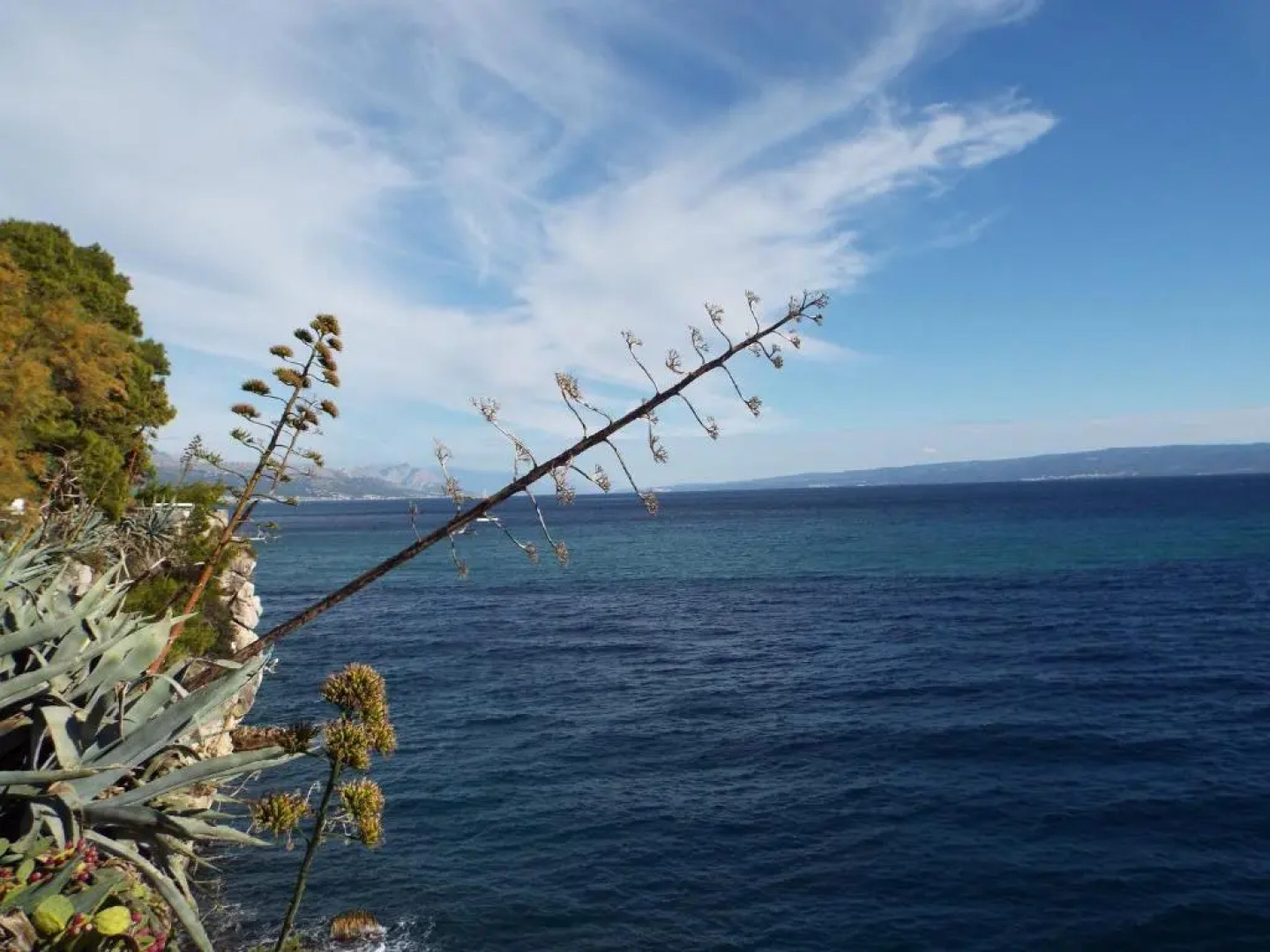 Apartments Sea Star Ivana