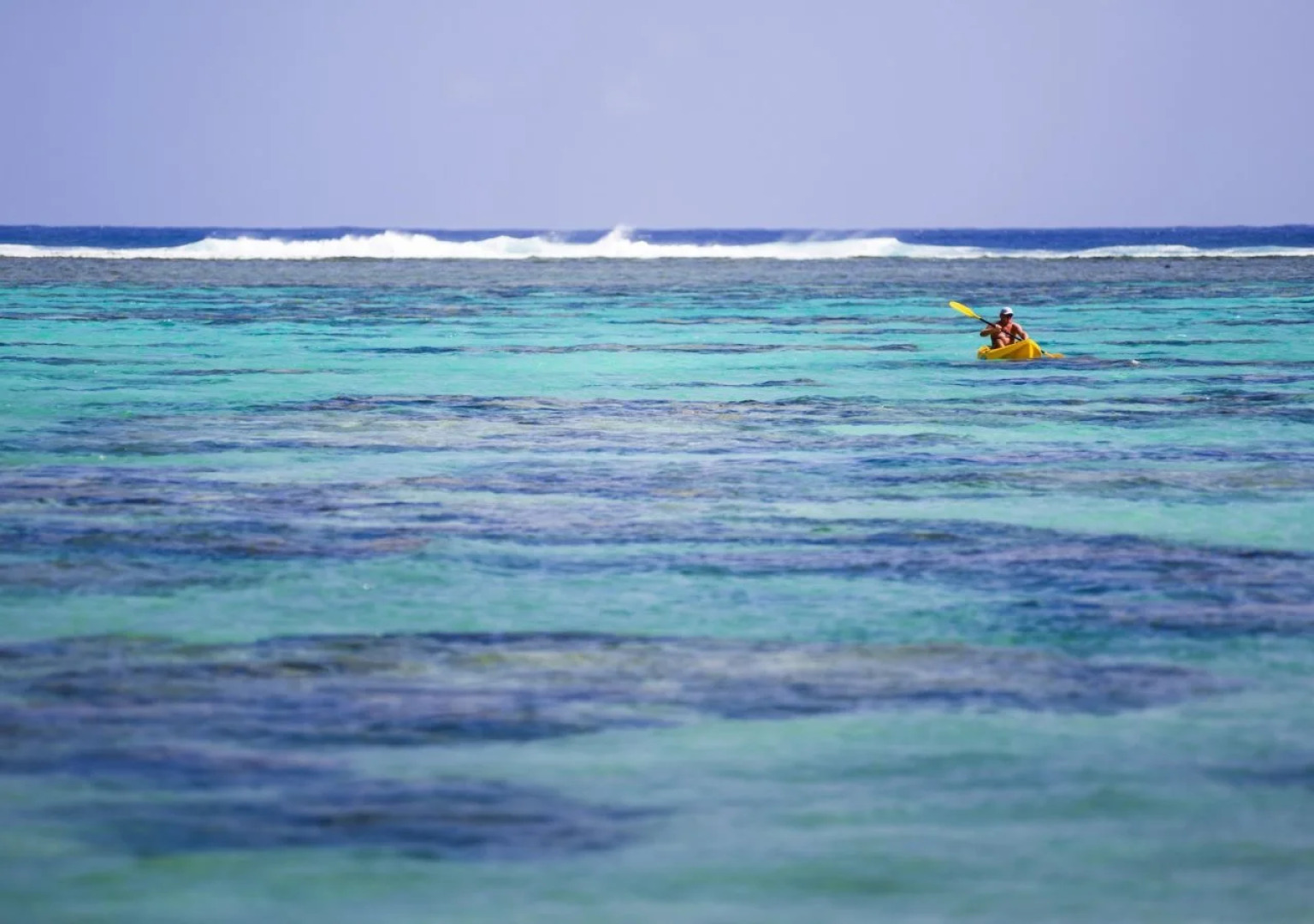 Motu Beachfront Art Villas