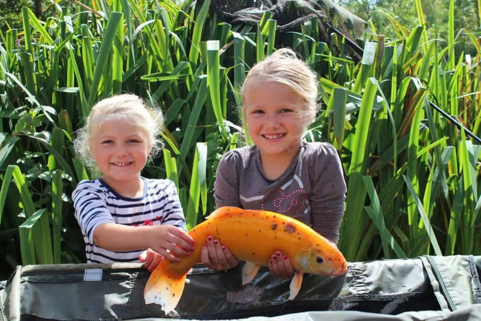 Rookley Country Park