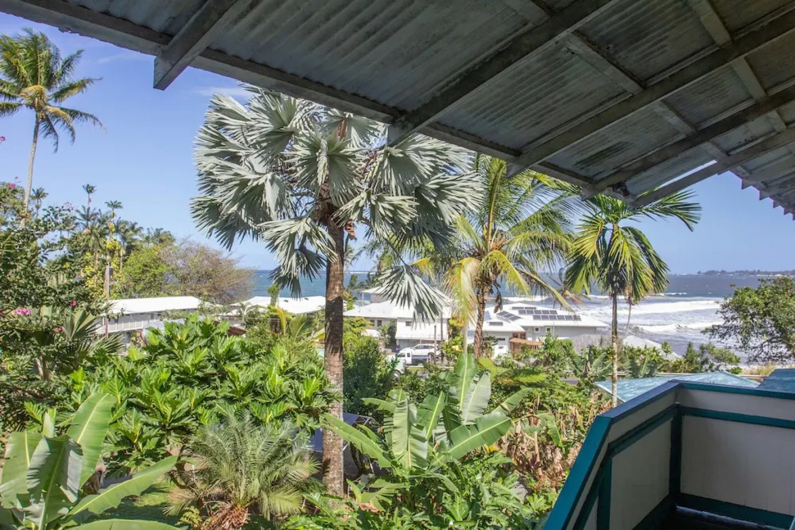 Wild Ginger Inn Hotel & Hostel