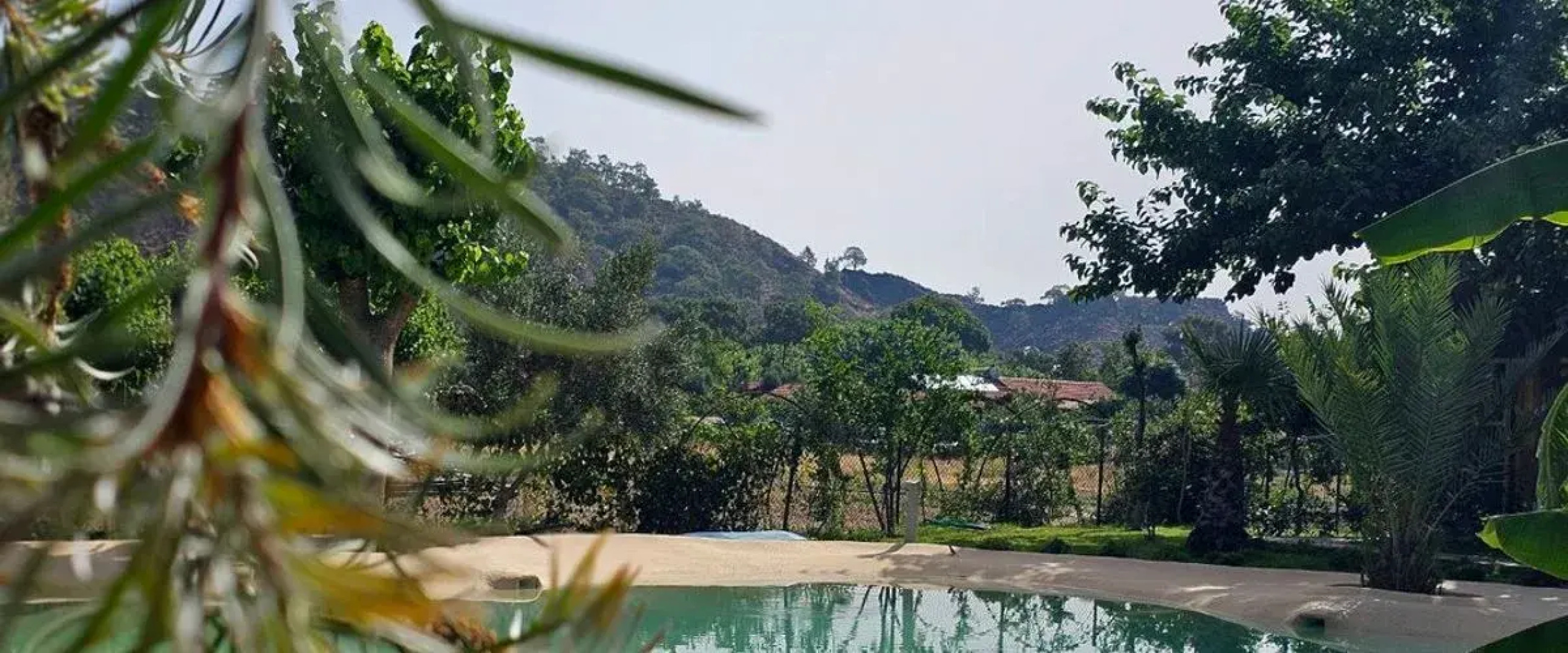 Çıralı Nun BungaLove