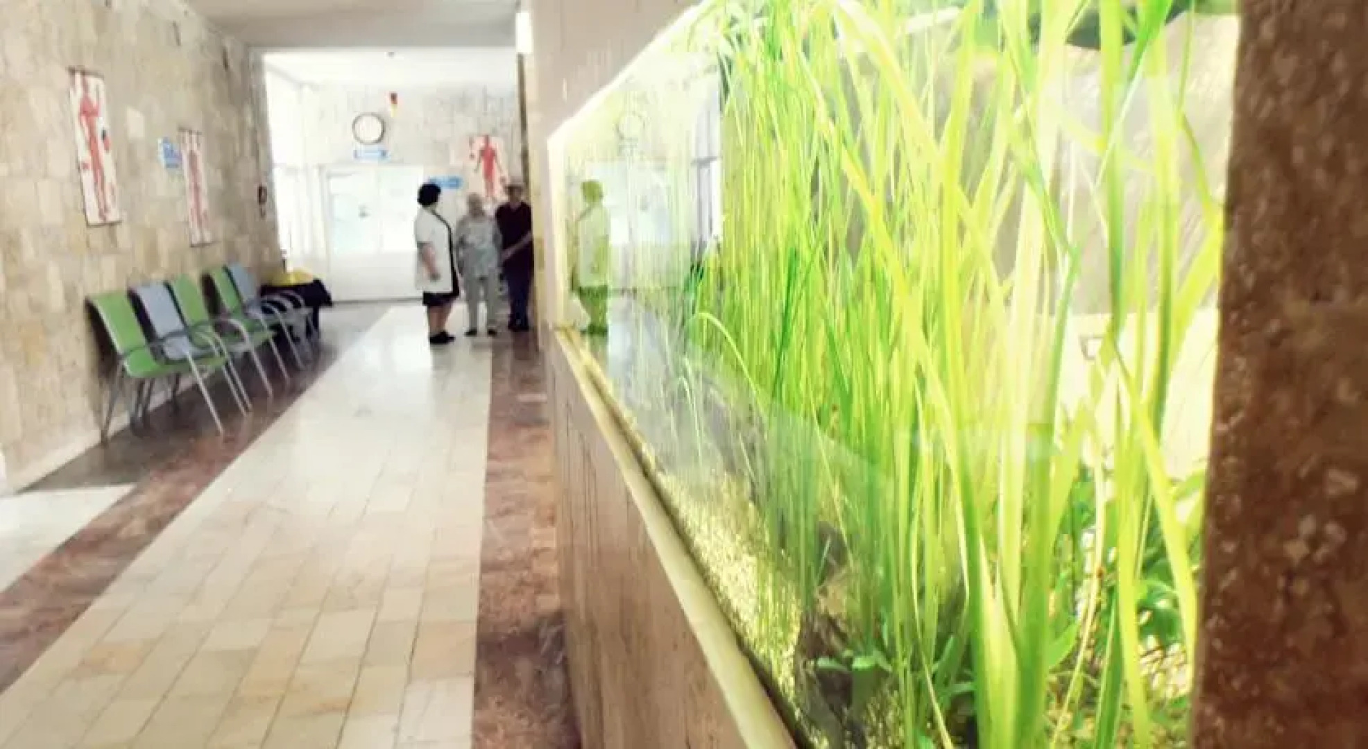 Sanatoriul Balnear si de Recuperare Mangalia