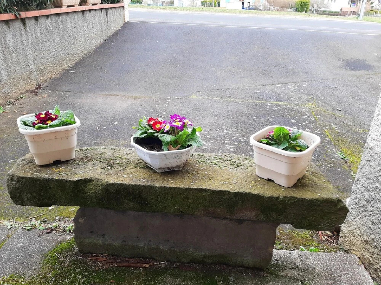 House With one Bedroom in Charbonnier-les-mines, With Wonderful Mounta