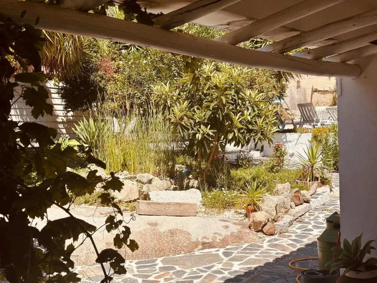 Casa Rico Frade Garden