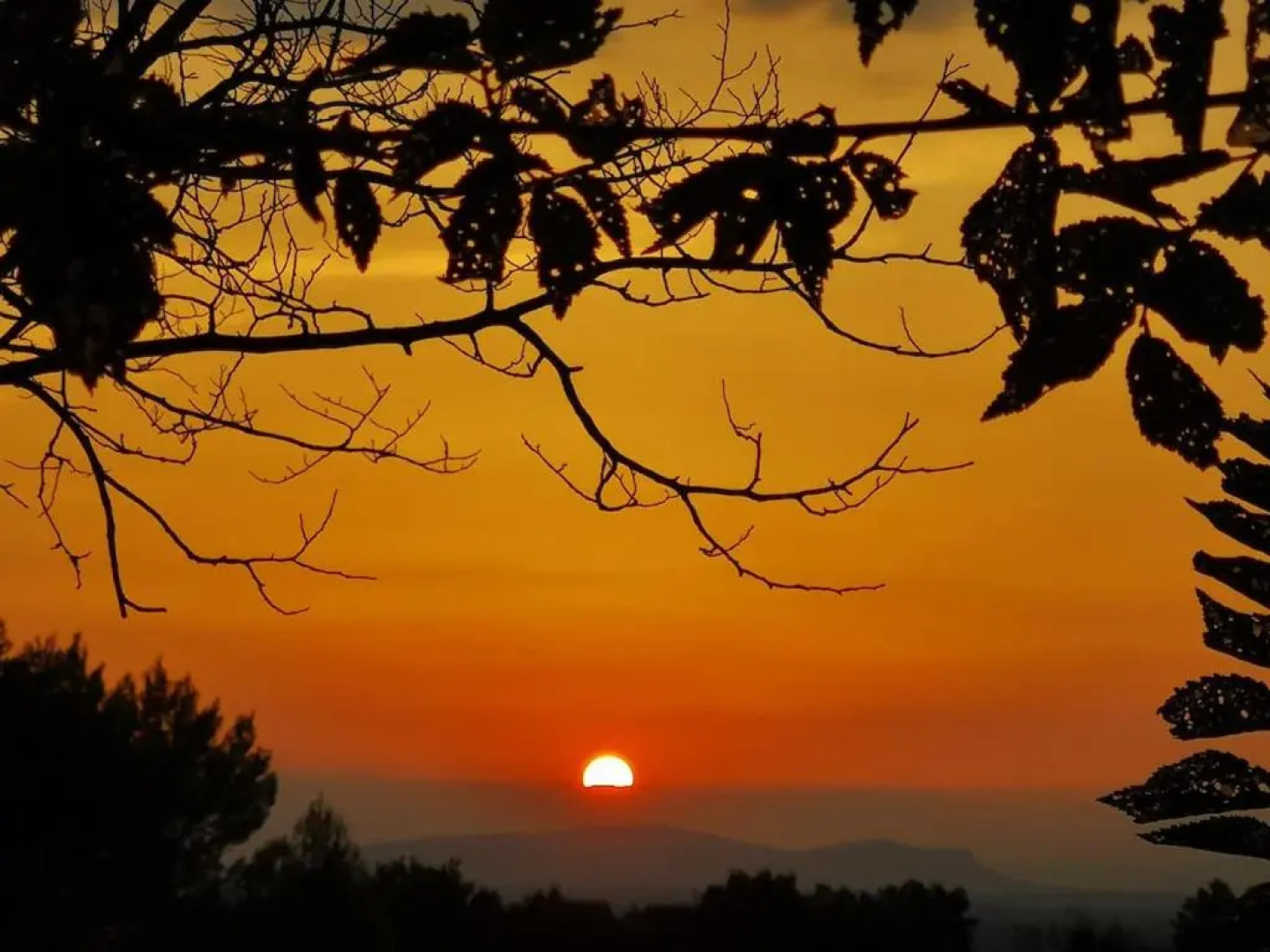 Maison Shanti chambre 1 à 3 personnes havre de paix pdj bio