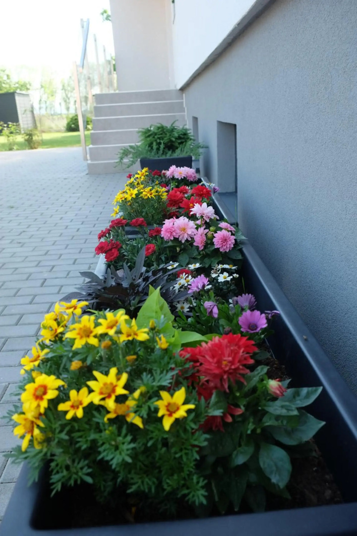 Penzión pod brezami**