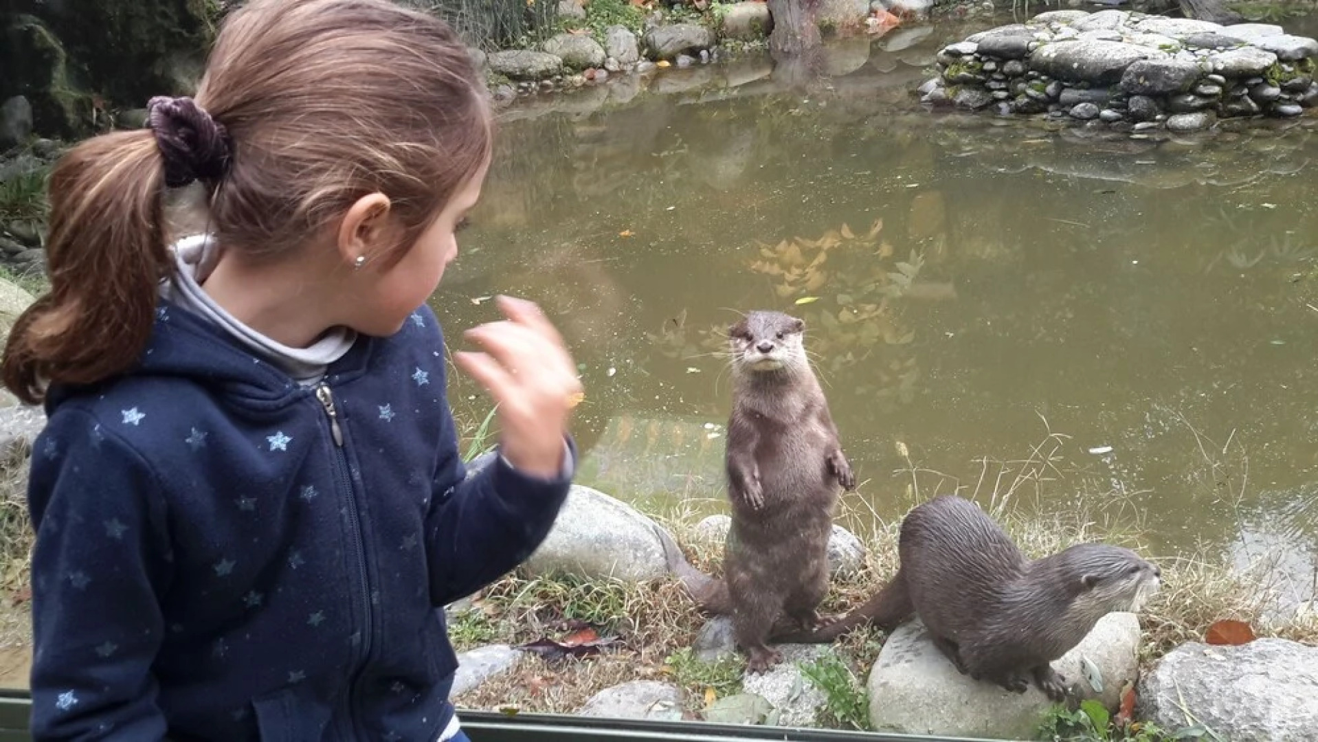 Les Hauts de Hurlevent Cottages