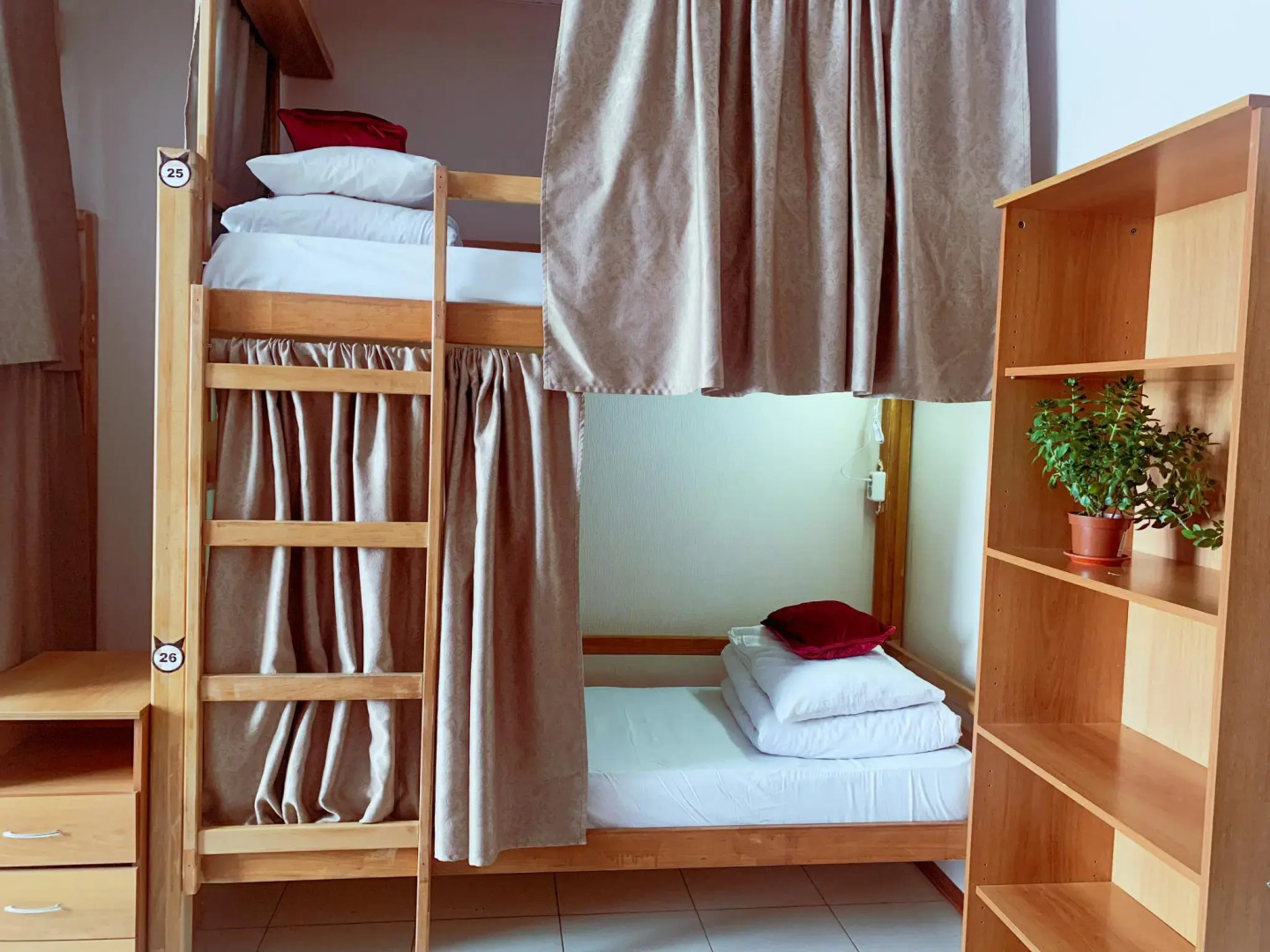 Кот Базилио