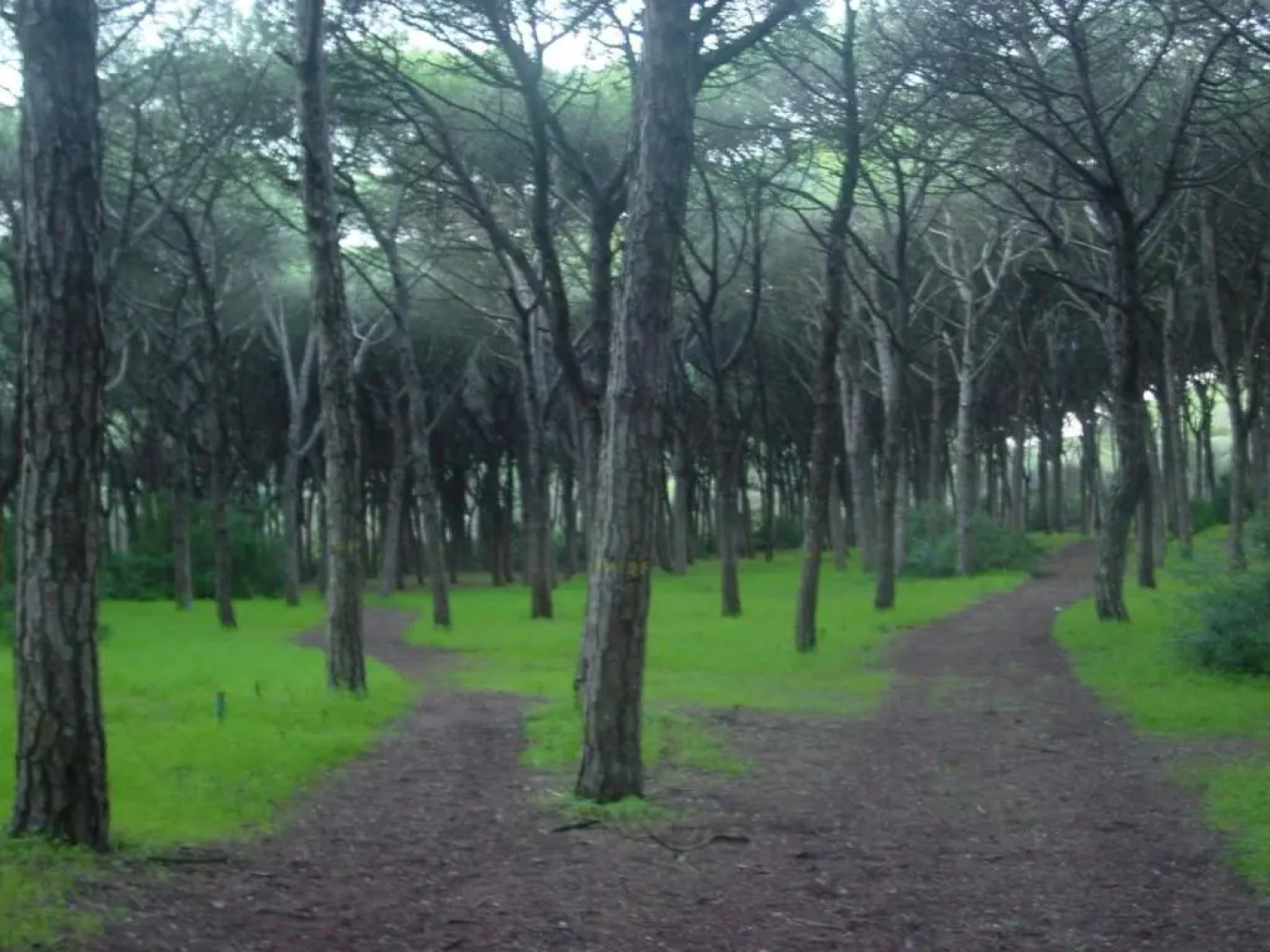 The Caparica Sun Centre