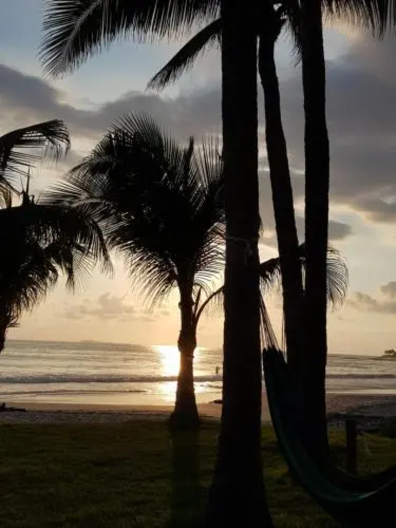 Los Veneros, Torre Agave