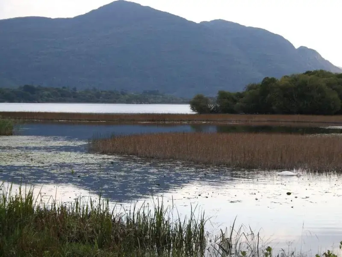 Innisfallen Holiday Village