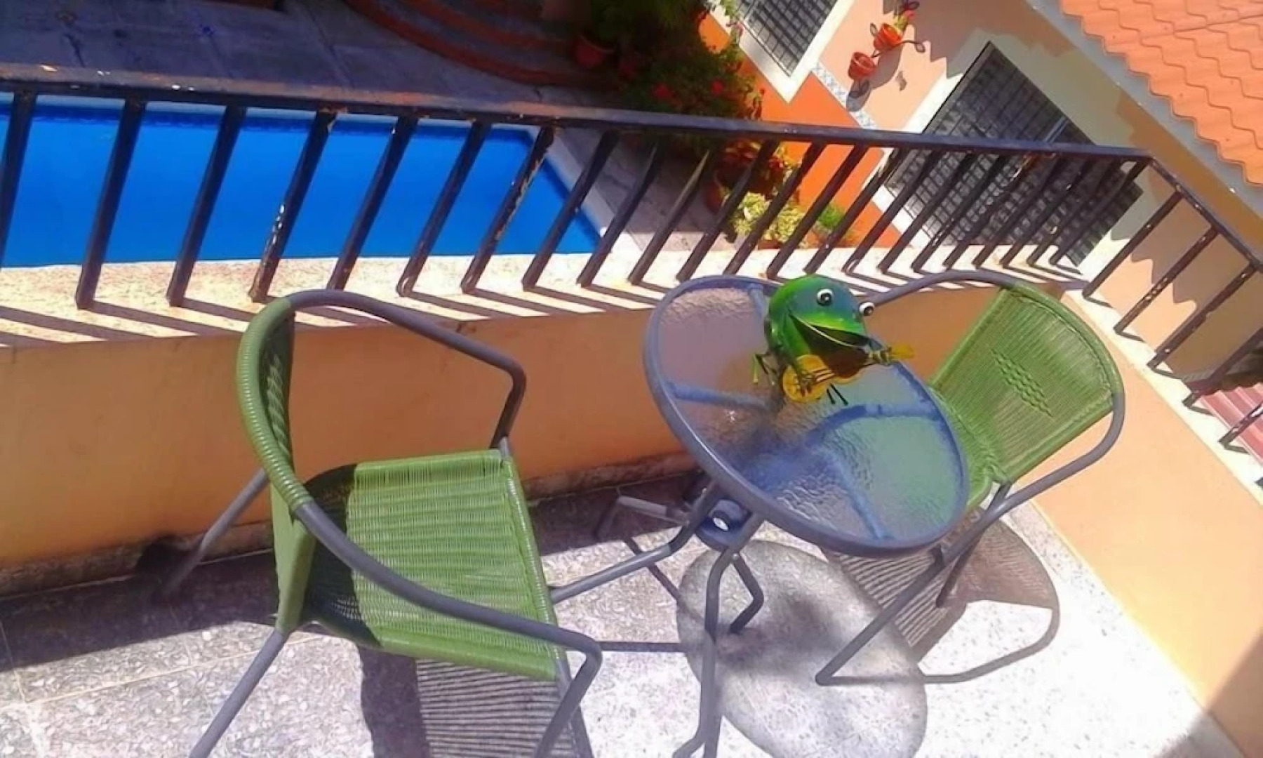 THE Green Frog Inn Bed and Breakfast