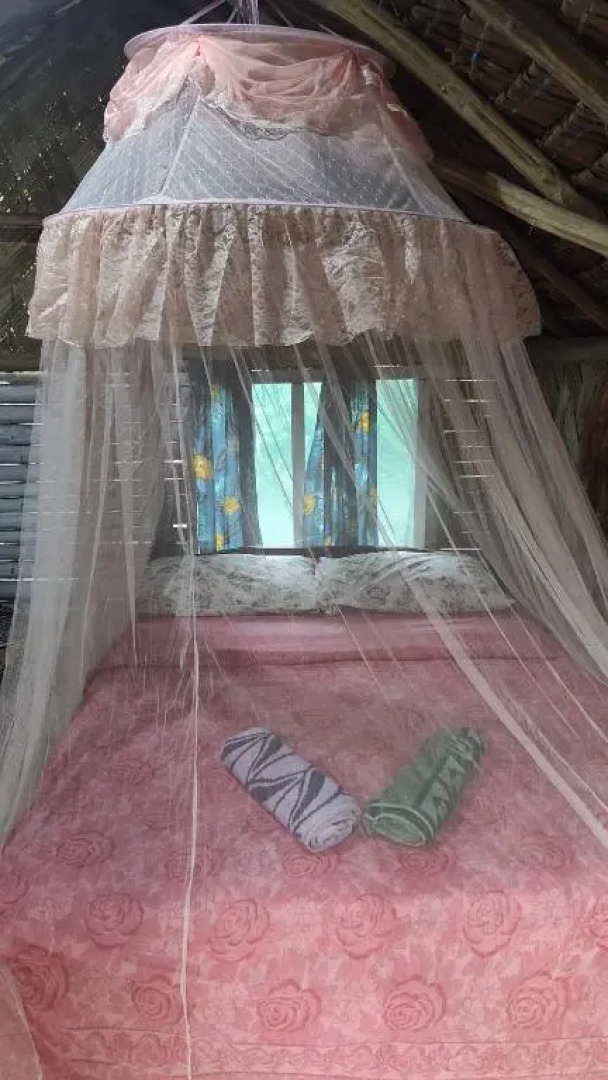 Jungle Oasis Bungalows