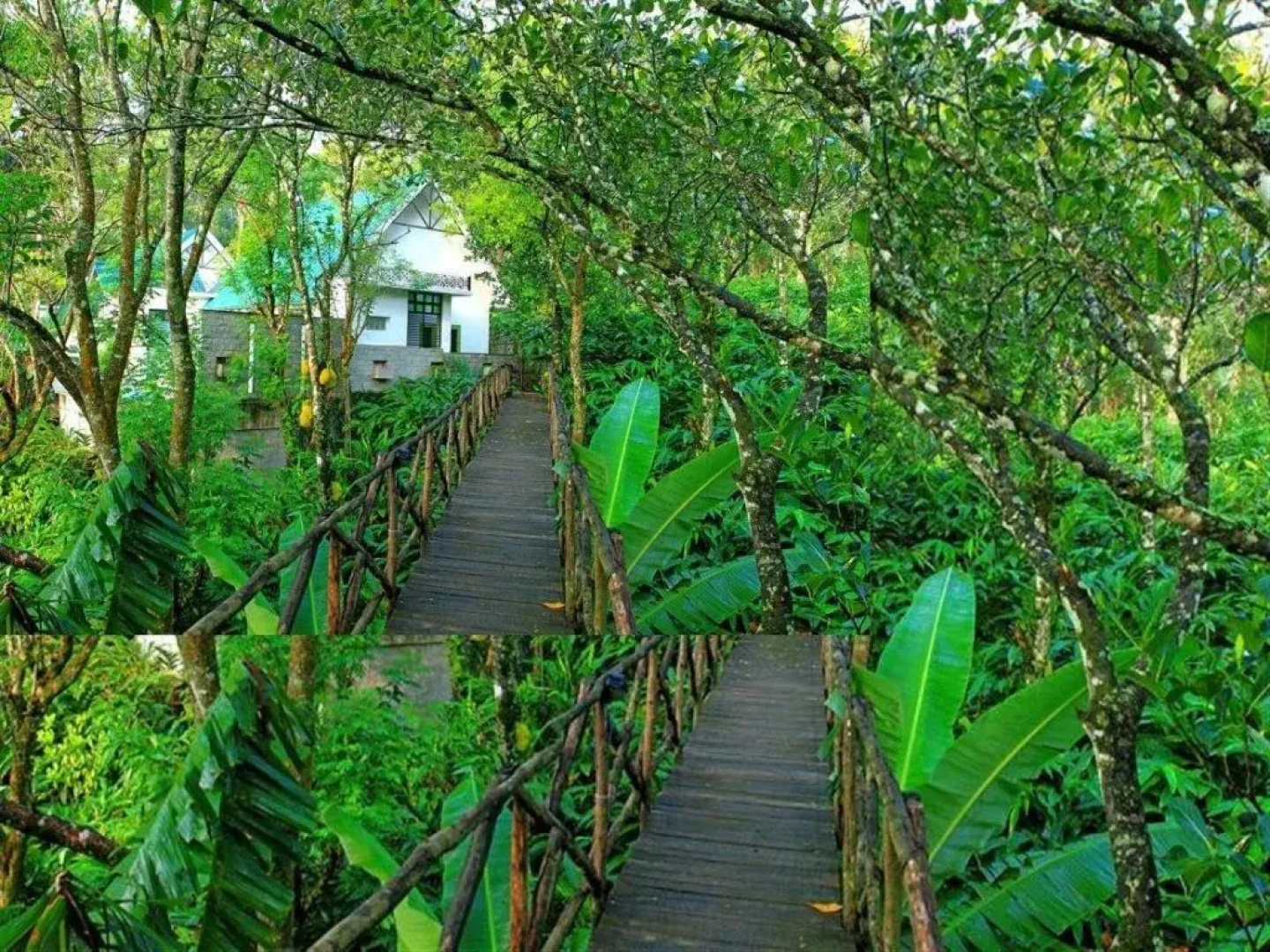 Aanavilasam Luxury Plantation House