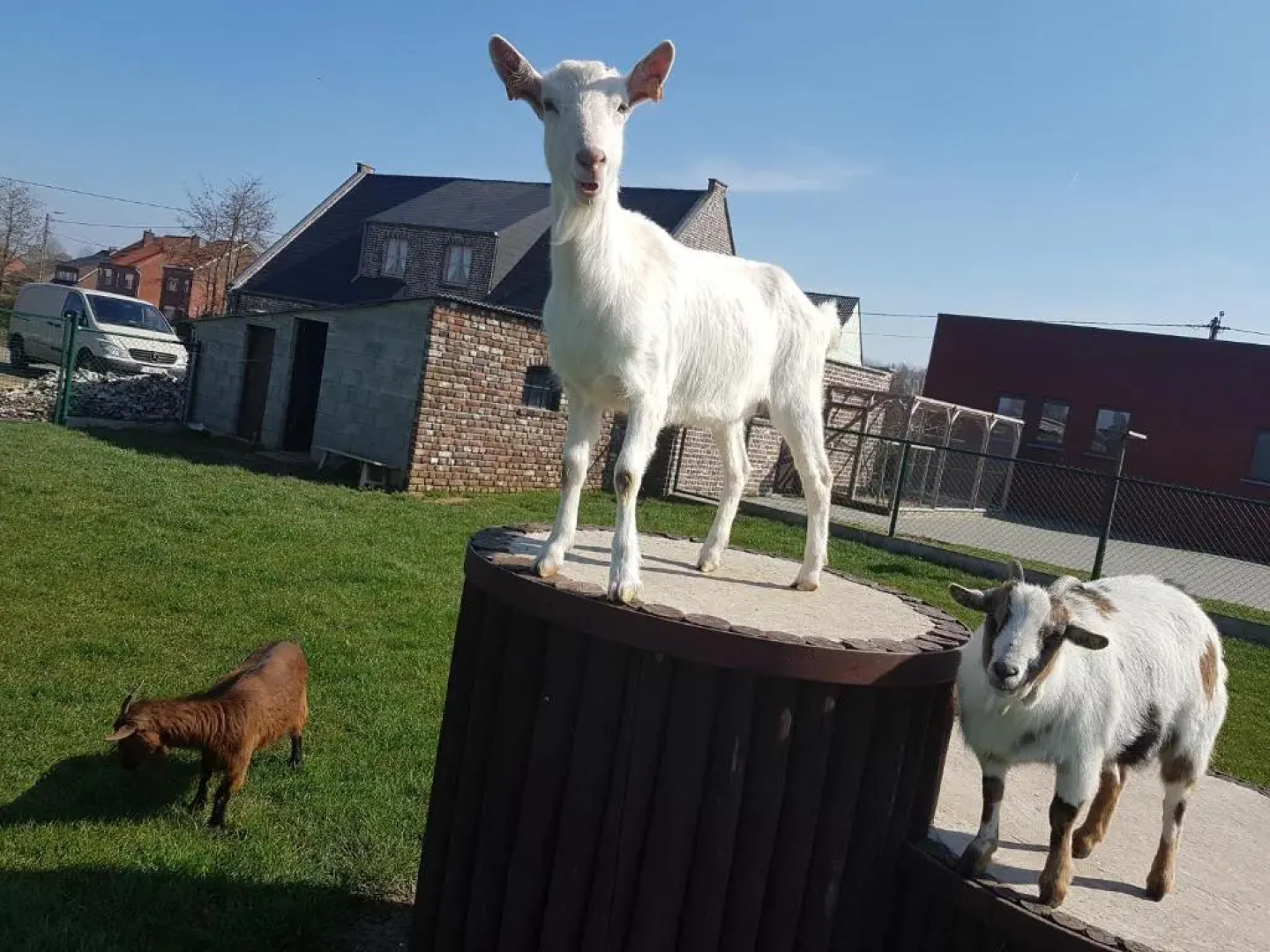 Vakantiewoning De Schuur Tienen