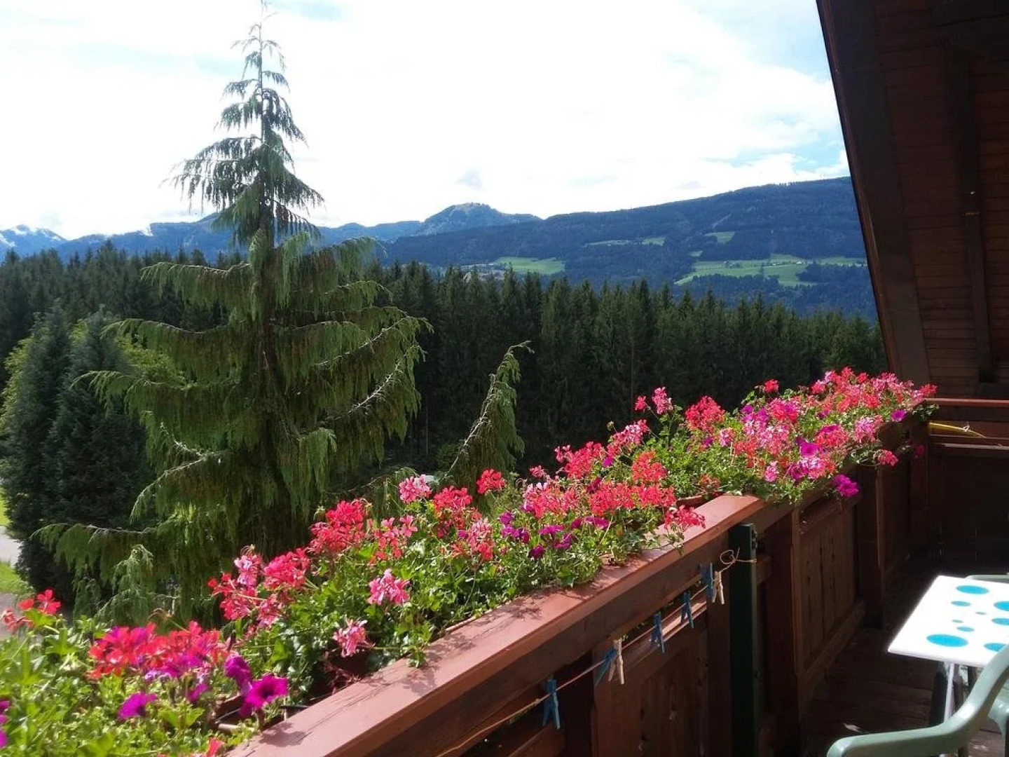 Appartements Pension Waldheim