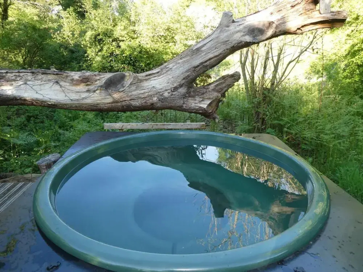 Roundhouse Yurt, Stunning Views, Totnes Dartmouth