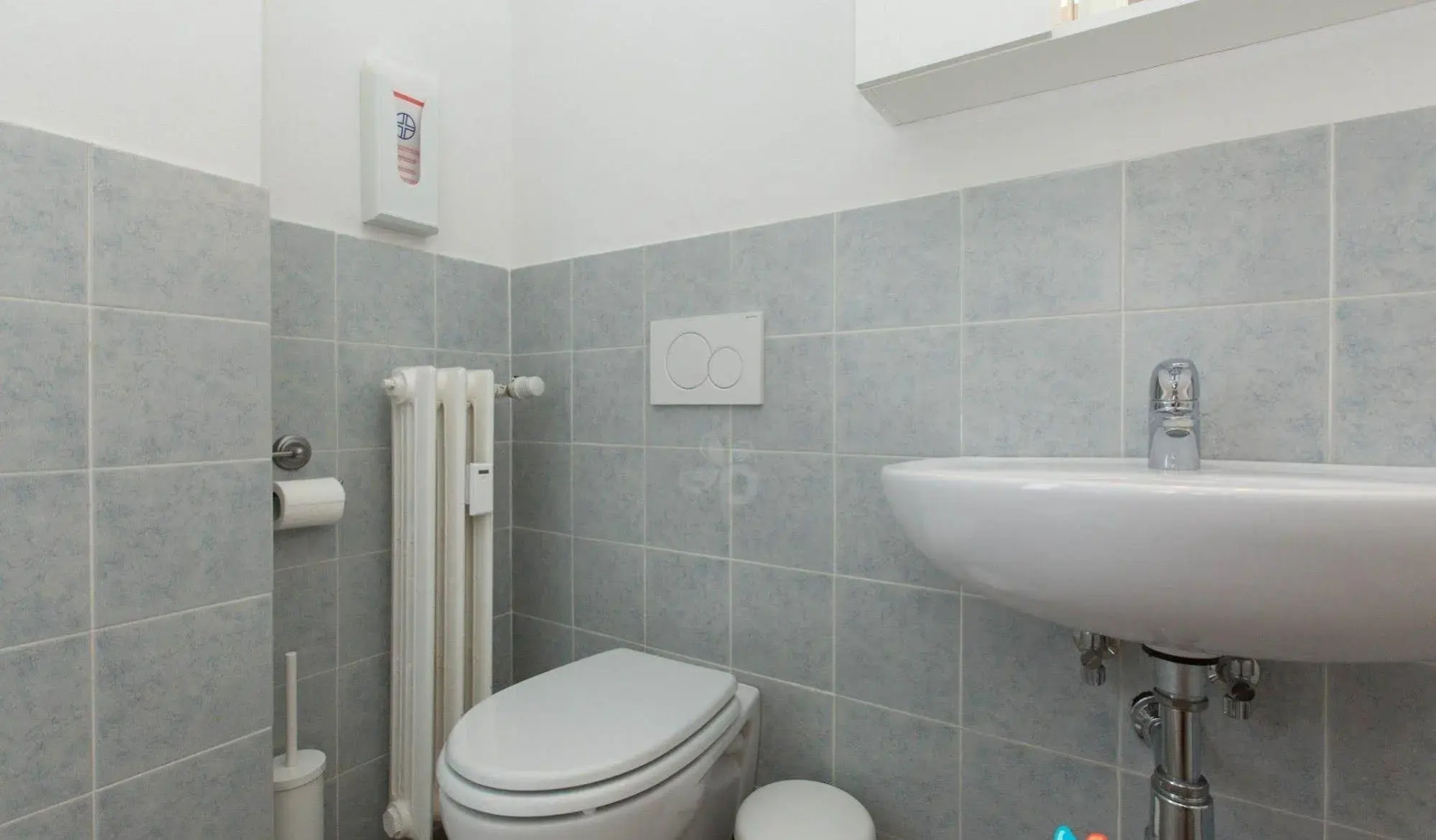 Il Grillo di Firenze