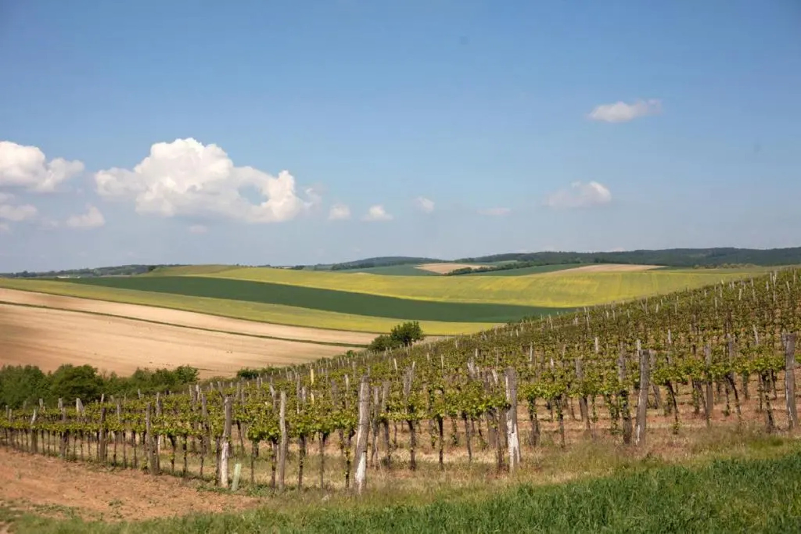 Rebenhof Schwalm (Adults Only)