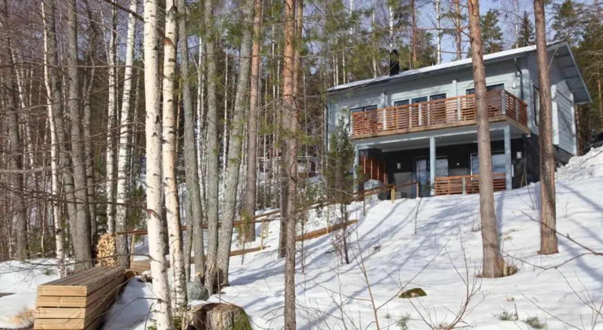 Villa Tyyrpuuri ja Paapuuri