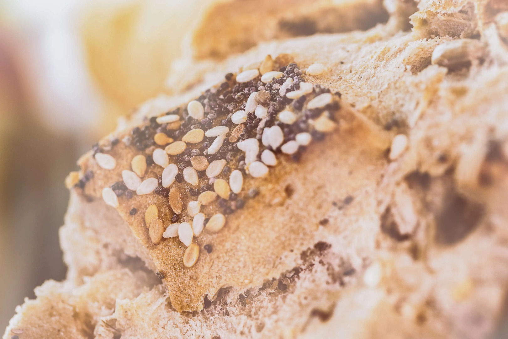 Best Western Plus Hôtel Richelieu