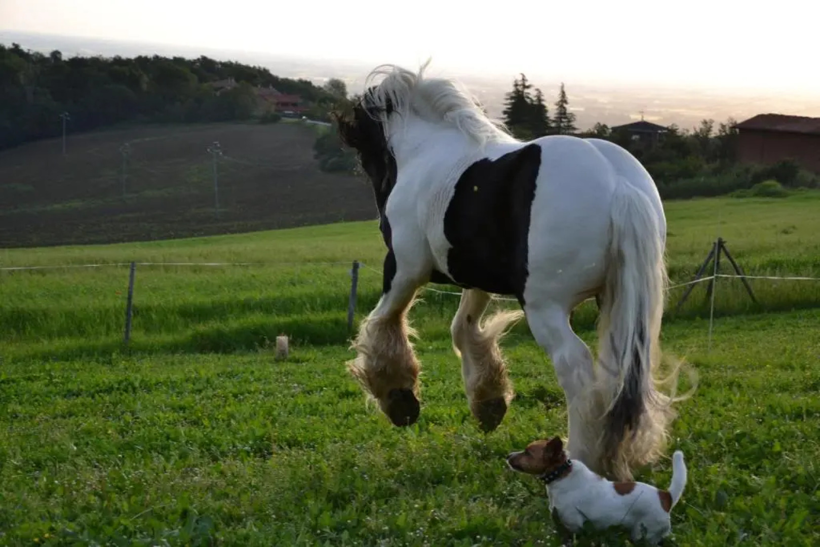 Cà Bianca dellAbbadessa