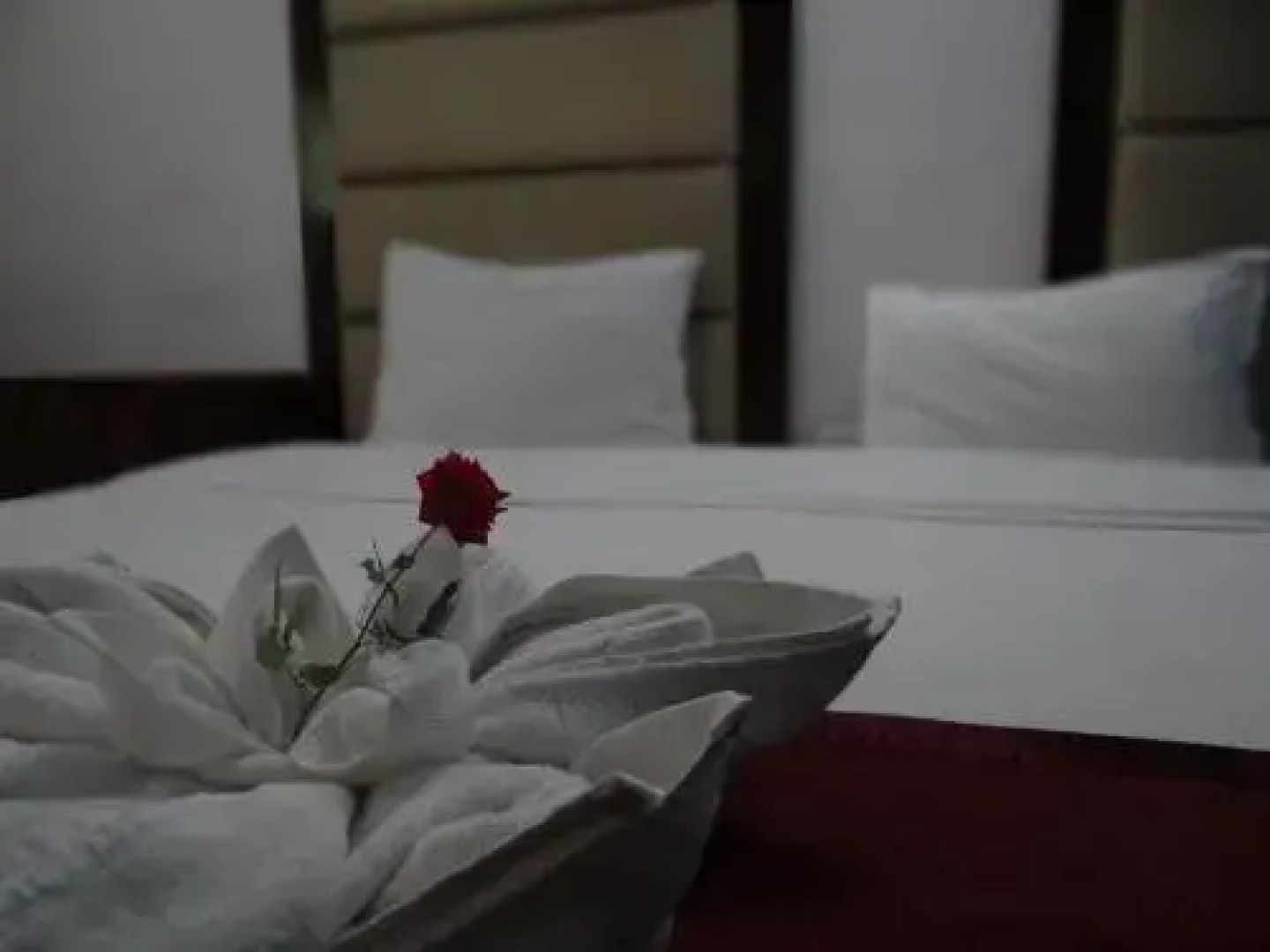 Hotel Monarch Aachal