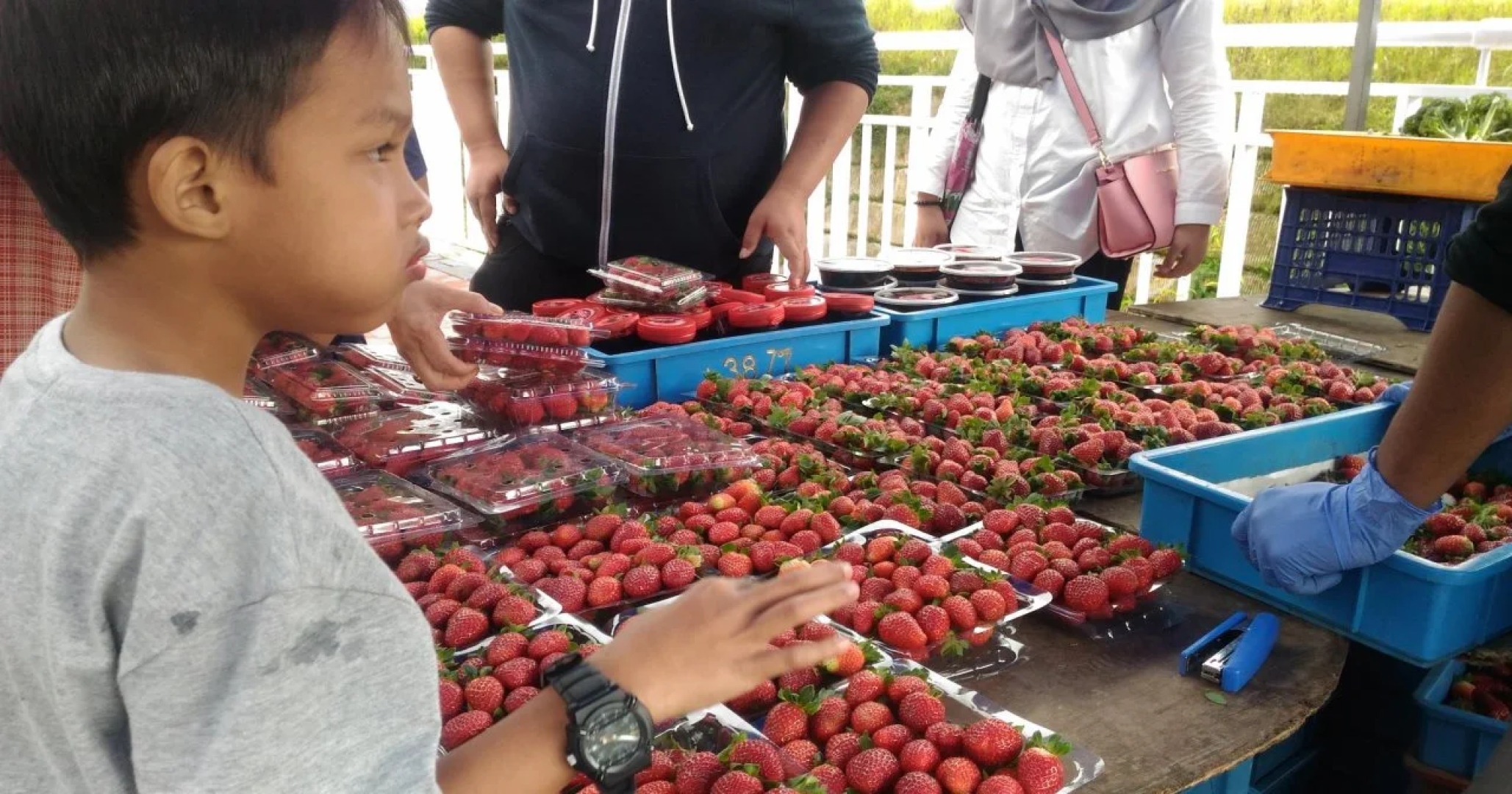 Cameron Golden Hills Resort