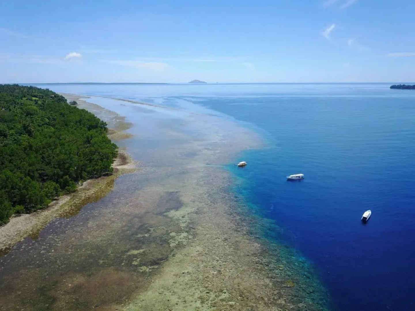 Bunaken Sea Garden Resort And Diving Center