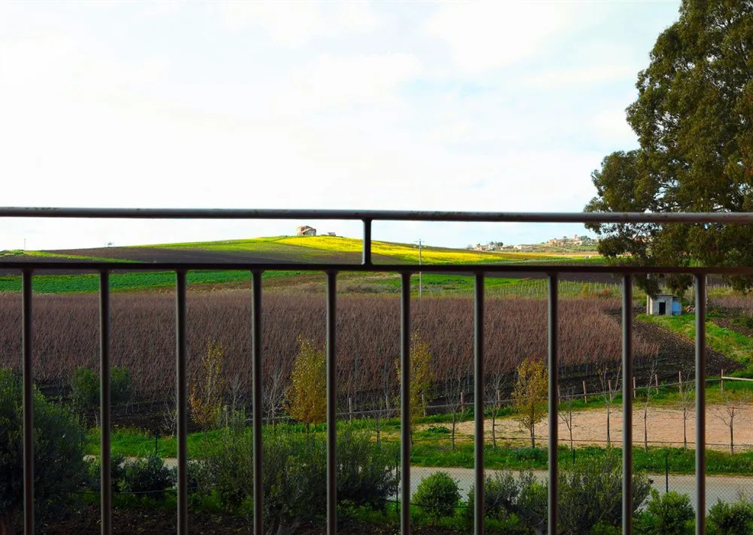 Agriturismo Valle Benuara