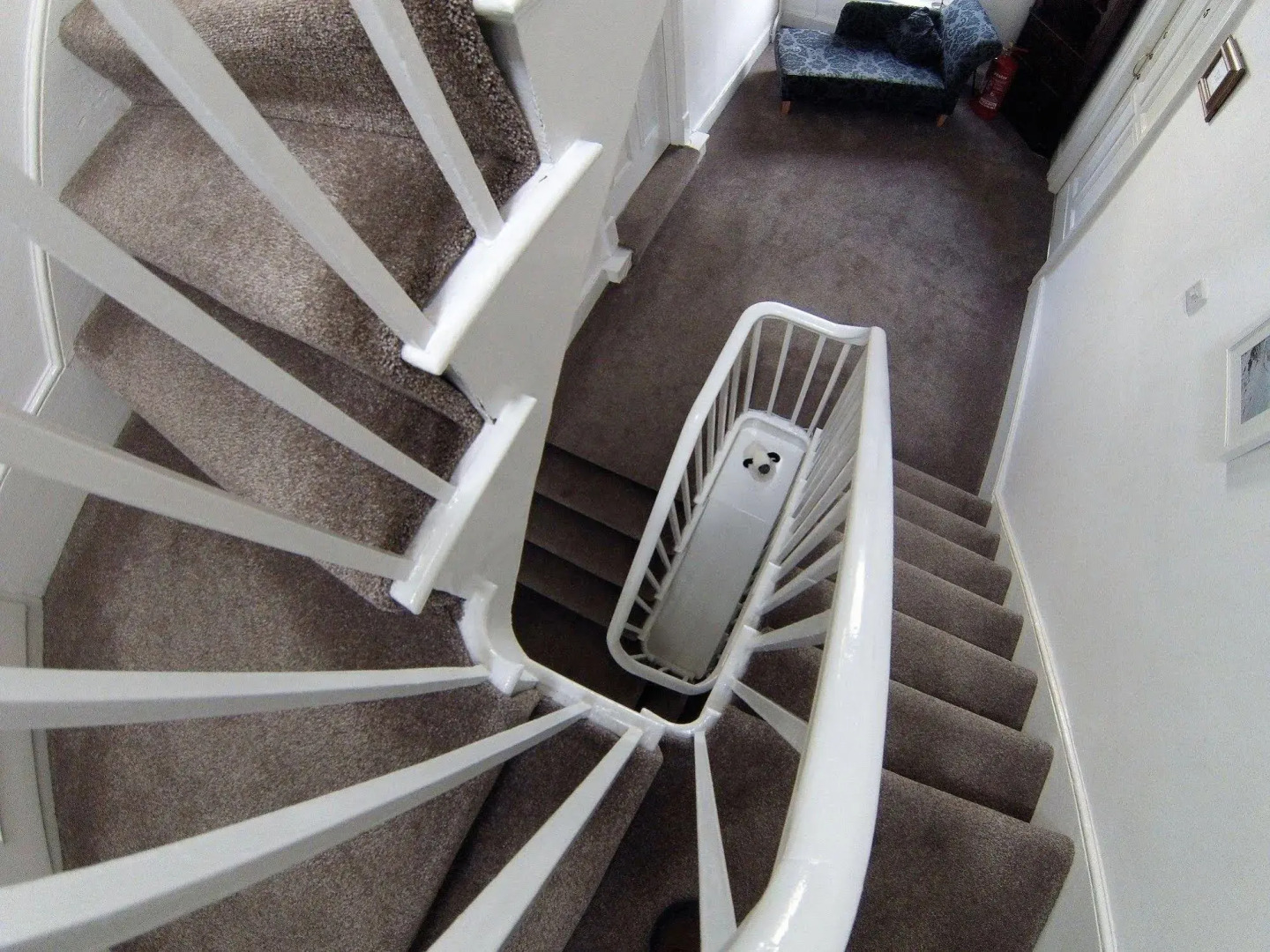 Ty Helyg Guest House