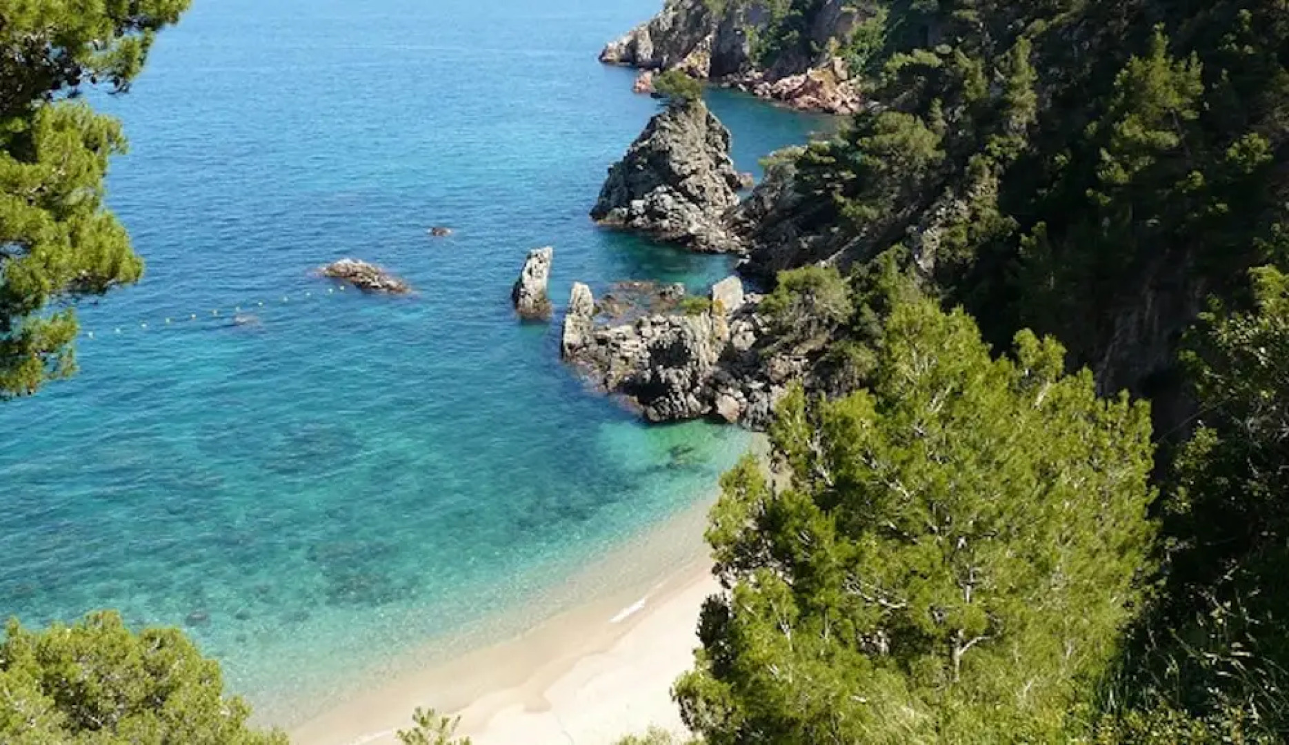 Apartament Antic Plankton