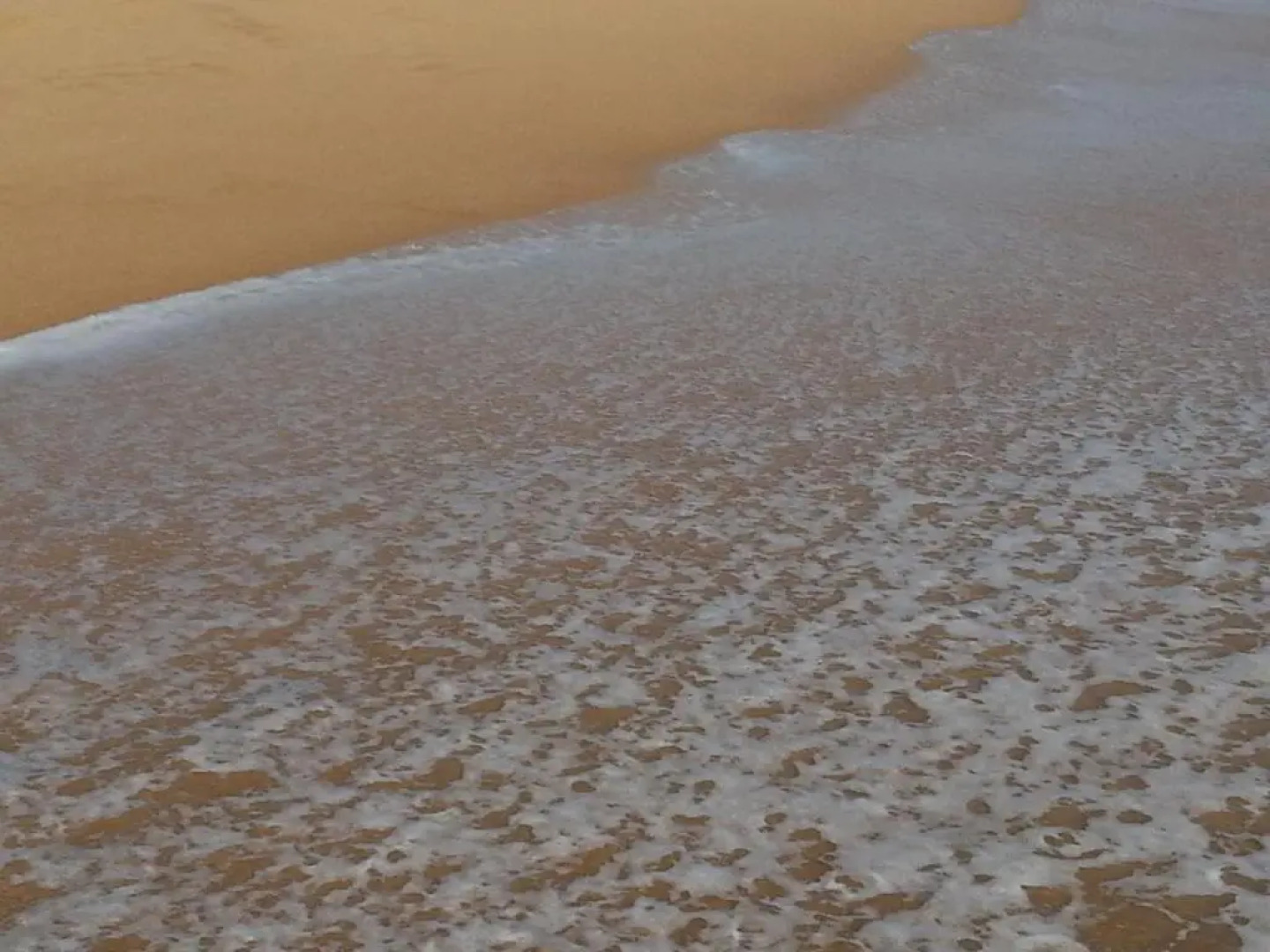 Lanka Beach Bungalows