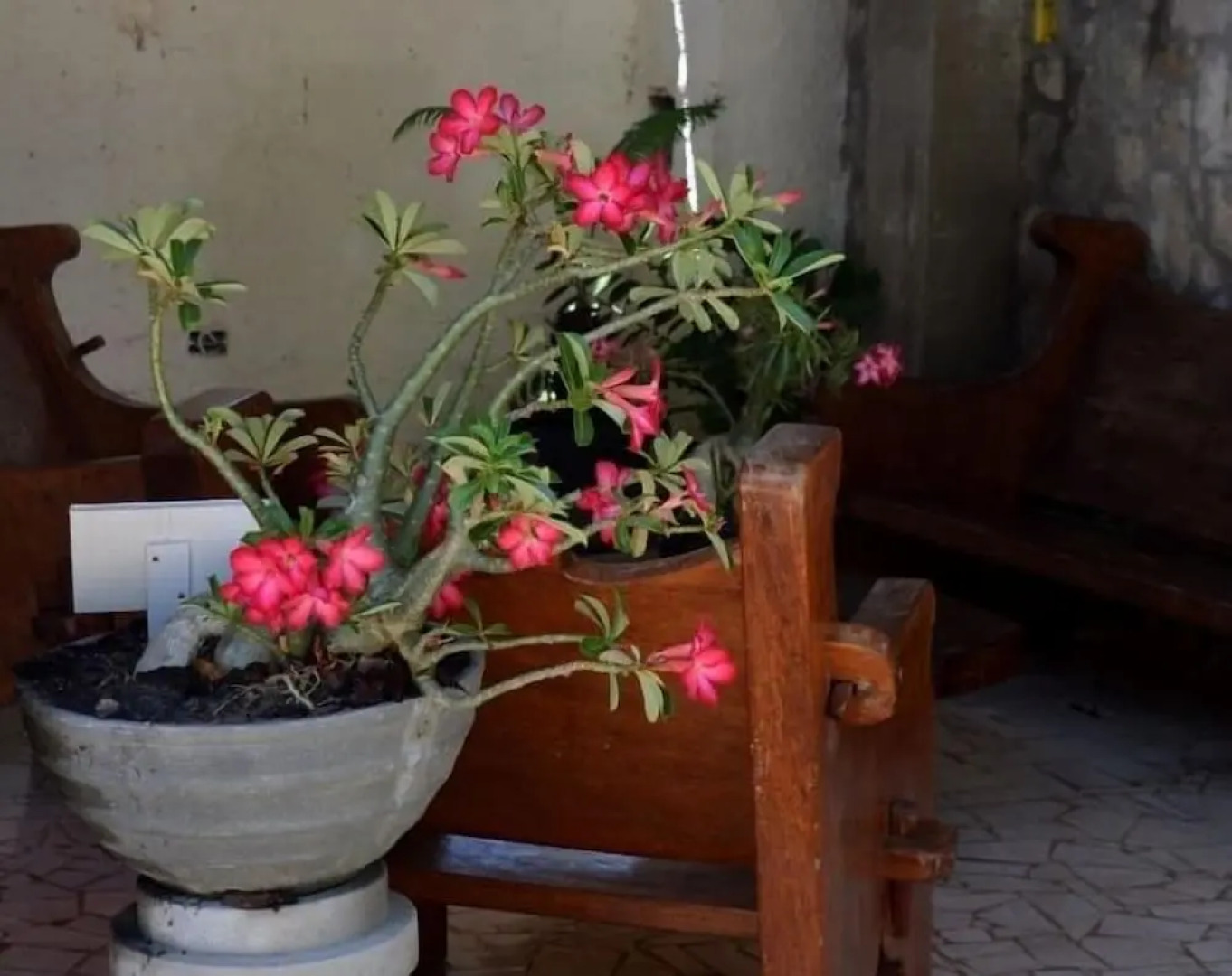 Pousada Porto do Sol