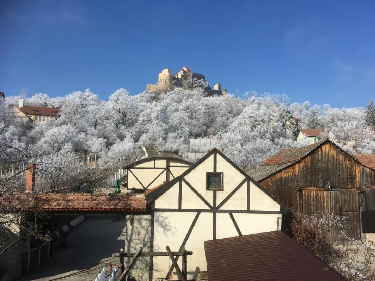 Pensiunea Michaels House