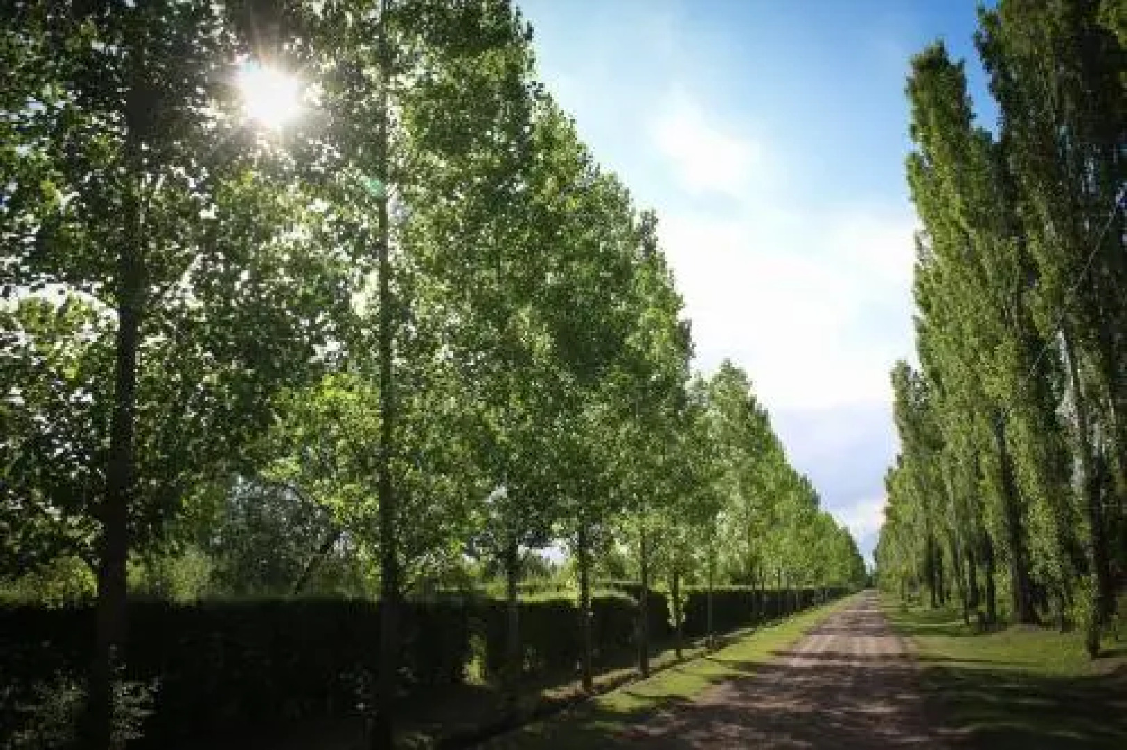 Cabaï¿½as El Pueblo Escondido