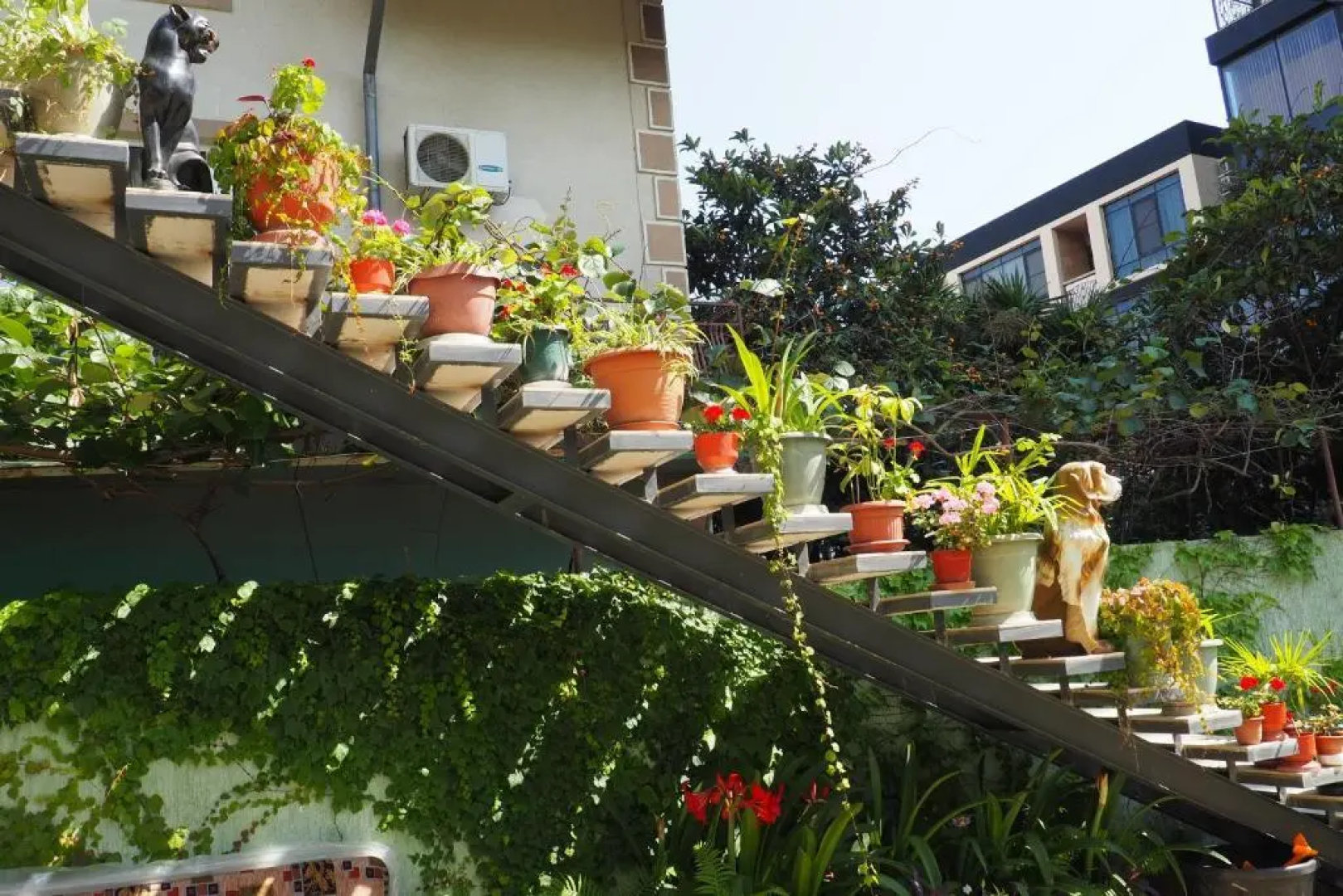 Olesya Guest House