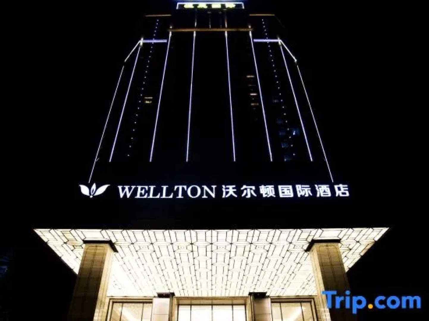 Wellton International Hotel