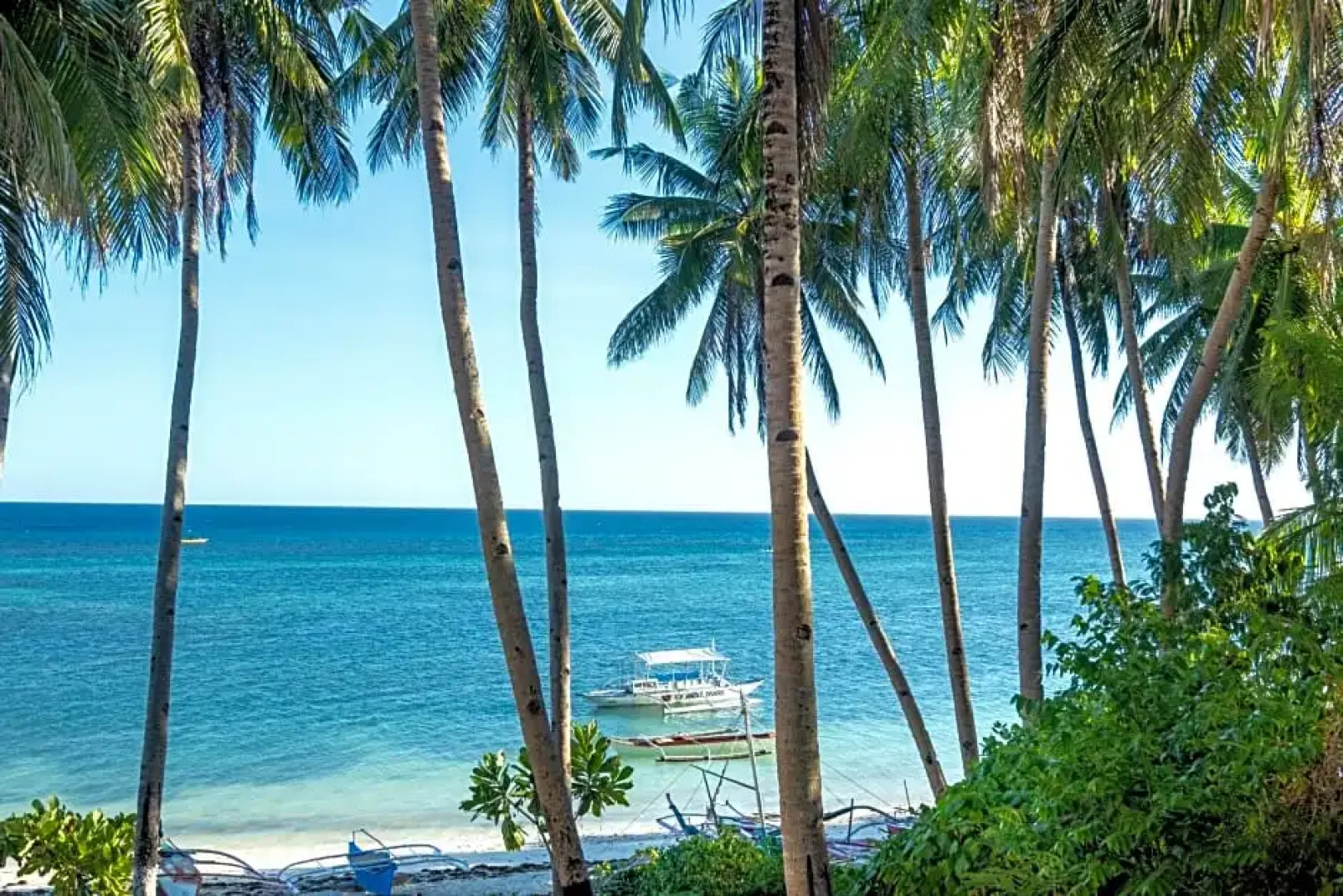 Three Little Birds Resort