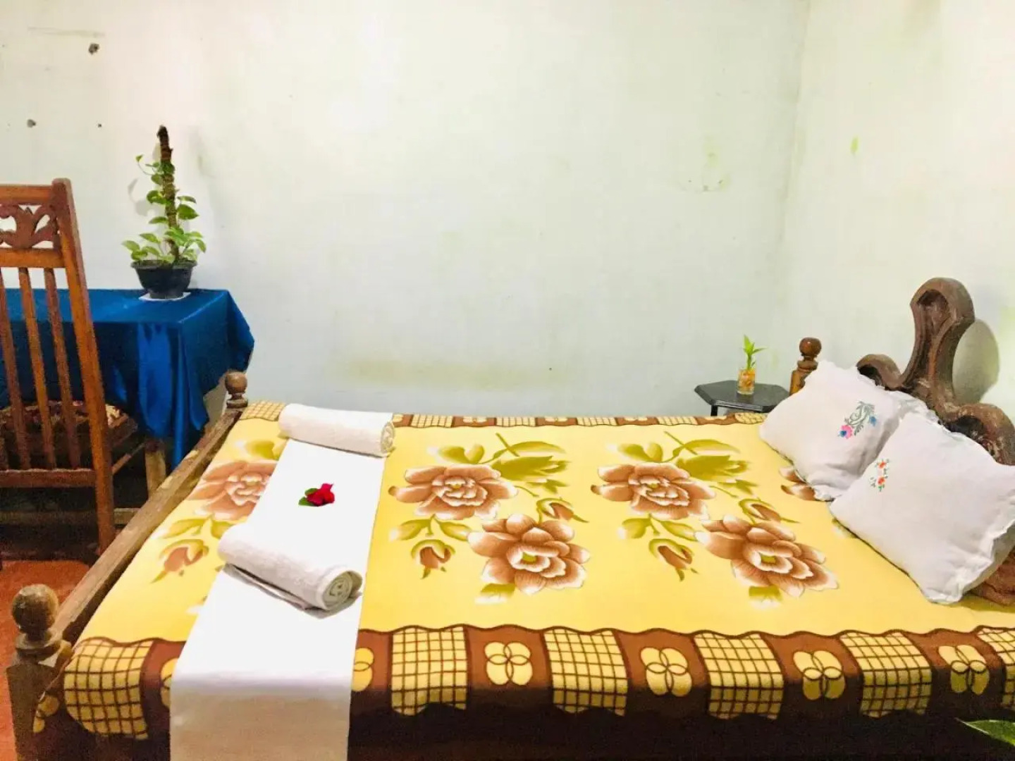 Mama Daisy's Homestay Rekawa.