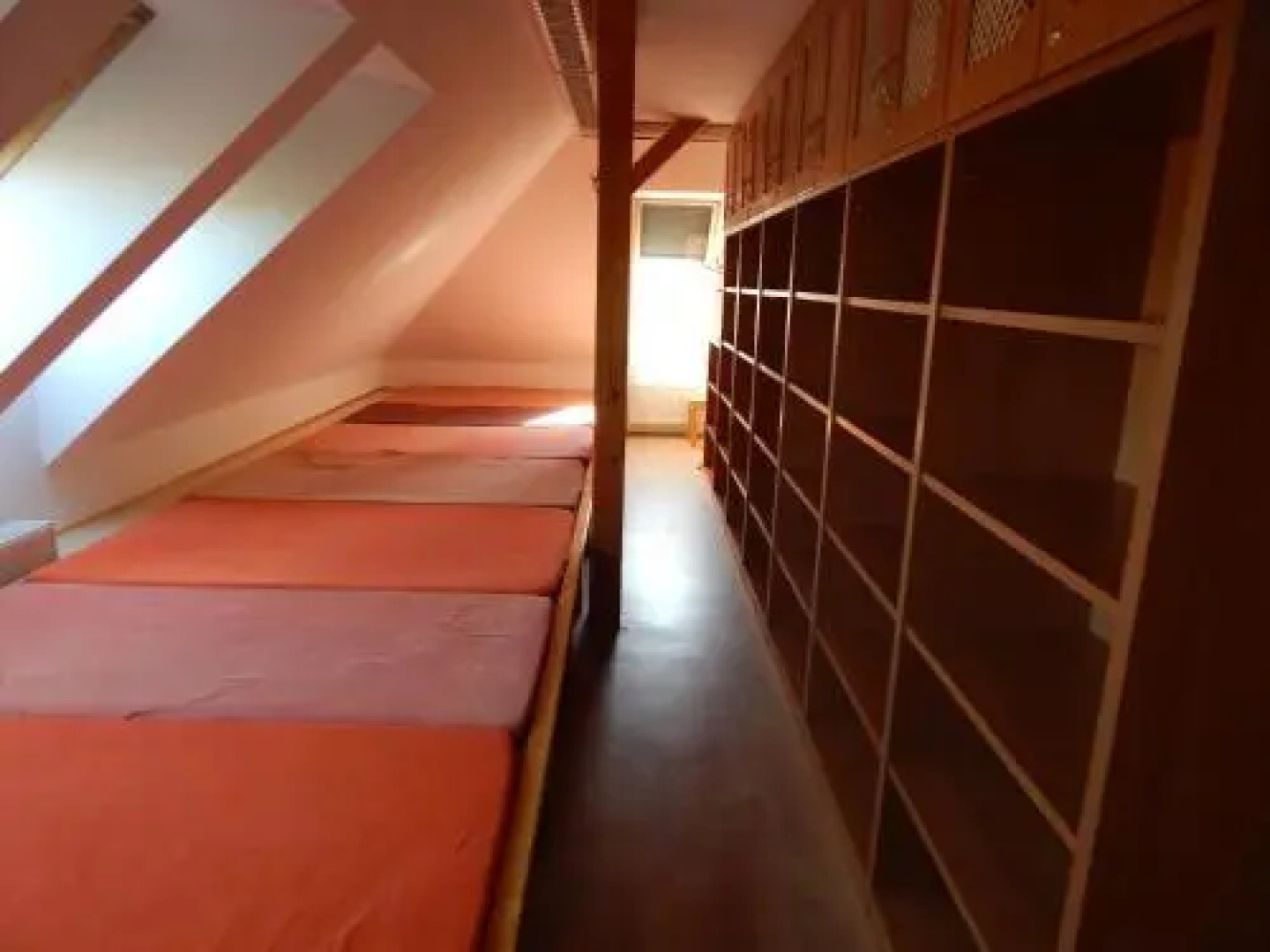 Ubytování v paraZOO