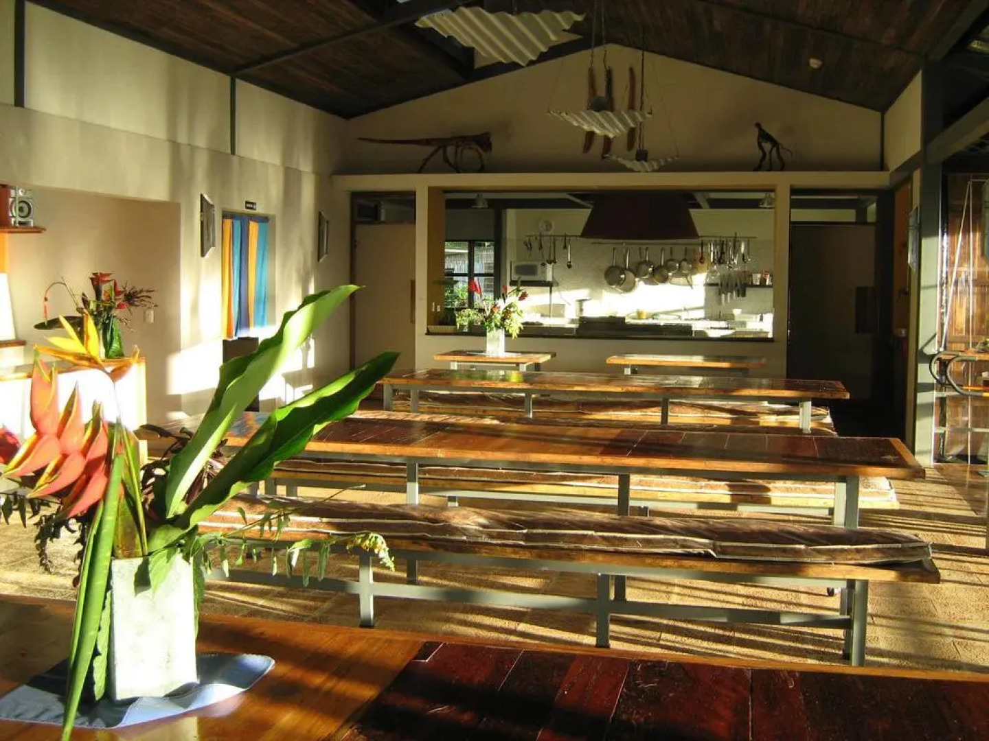 Celeste Mountain Lodge