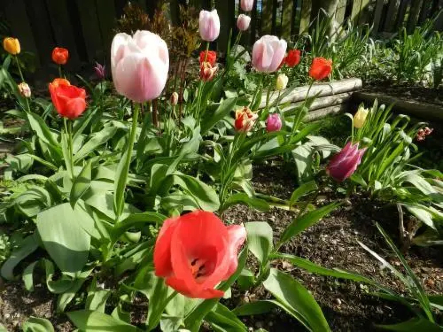 Serenity Bed and Breakfast