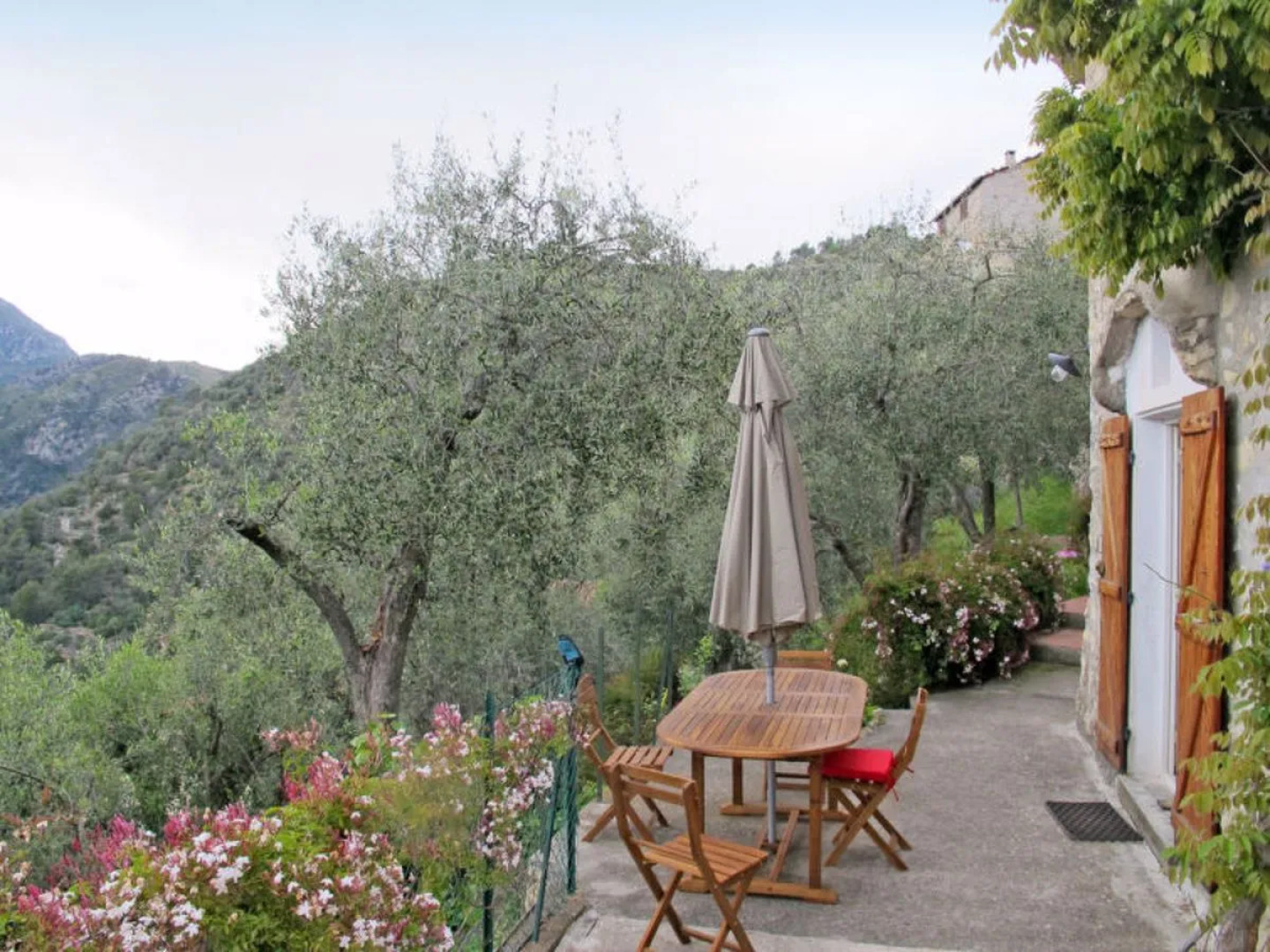 House Miche Collabassa