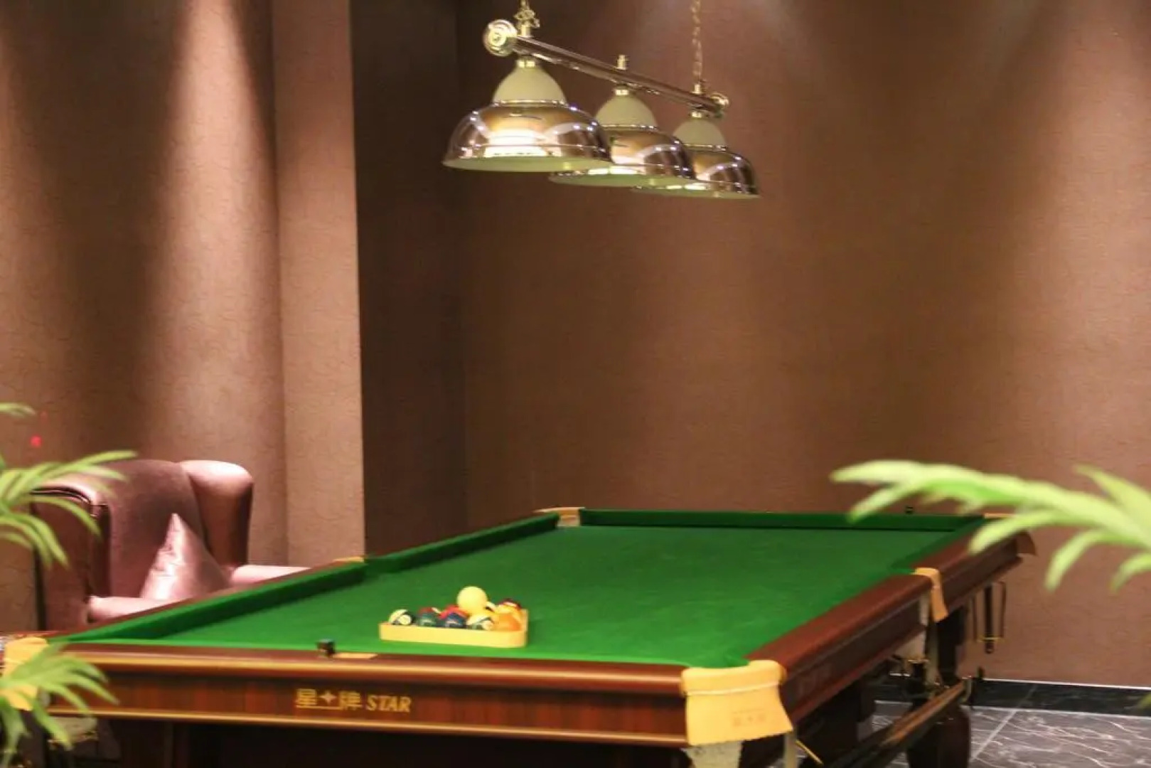 Nanjing Arcadia International Hotel