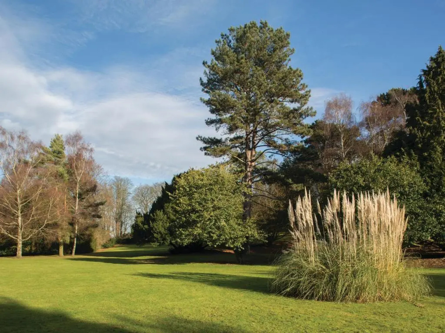 Brandshatch Place Hotel & Spa