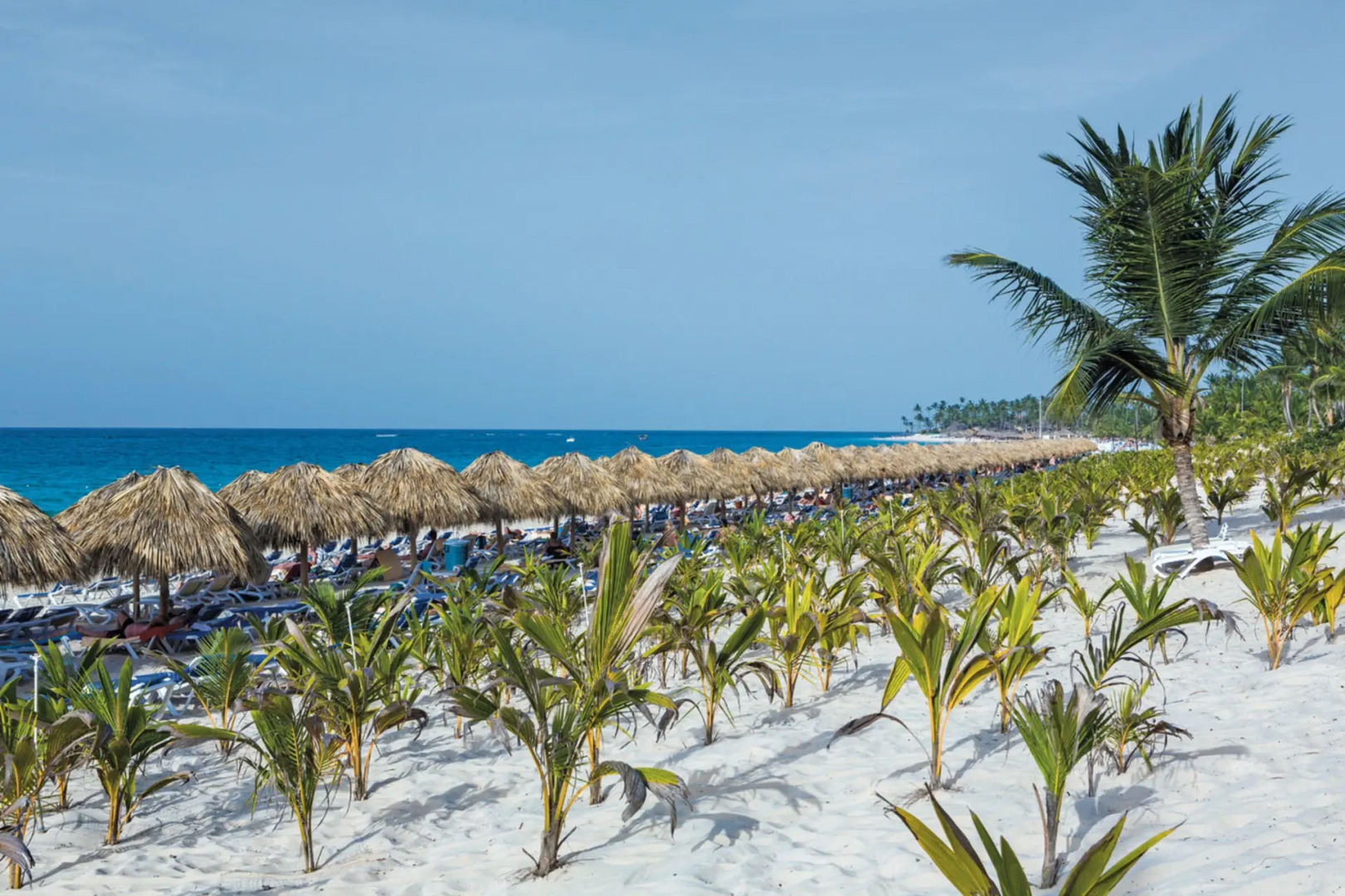 Hotel Riu Republica - Adults only - All Inclusive