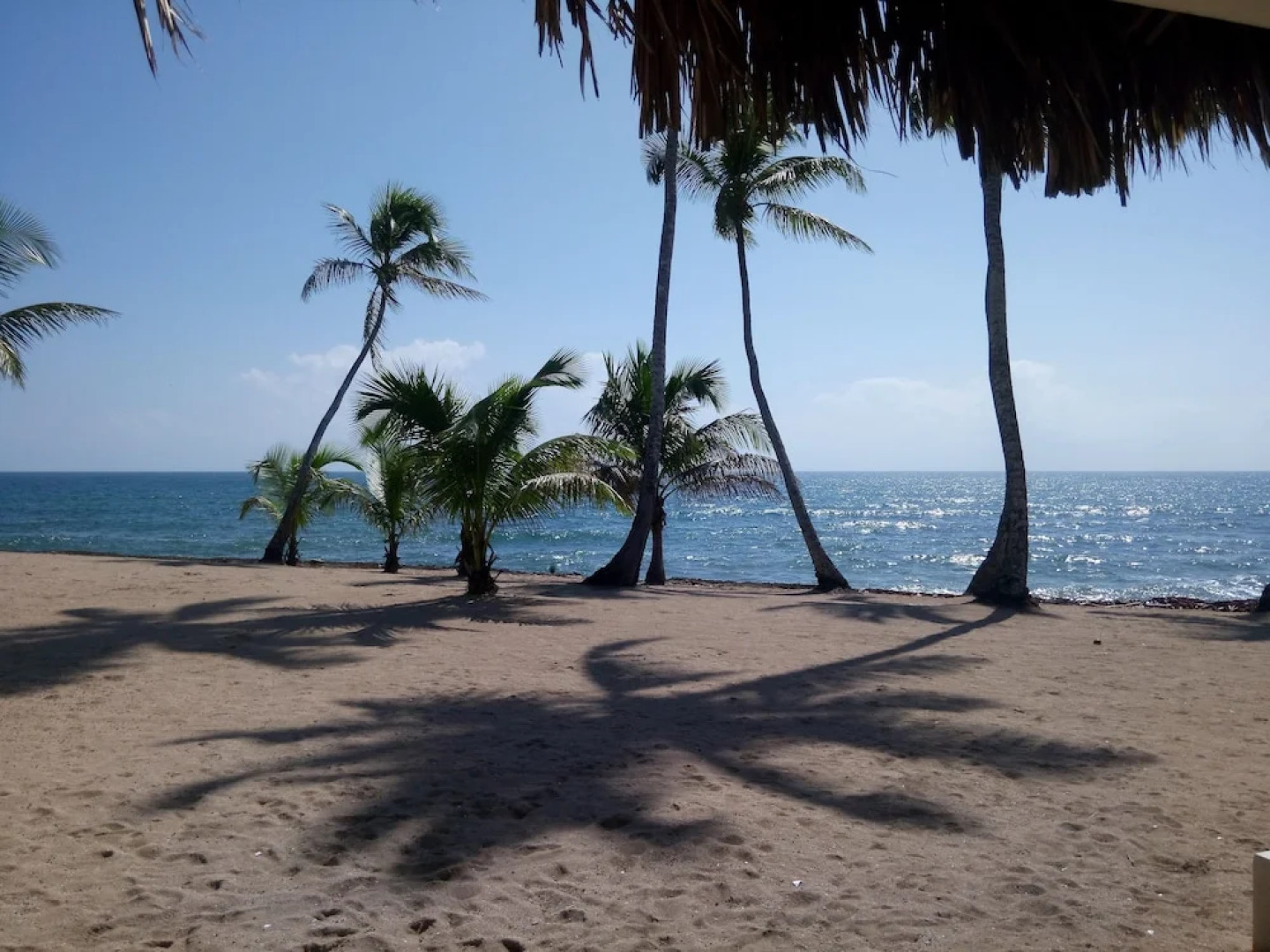 PTV Apartamentos en Albatros