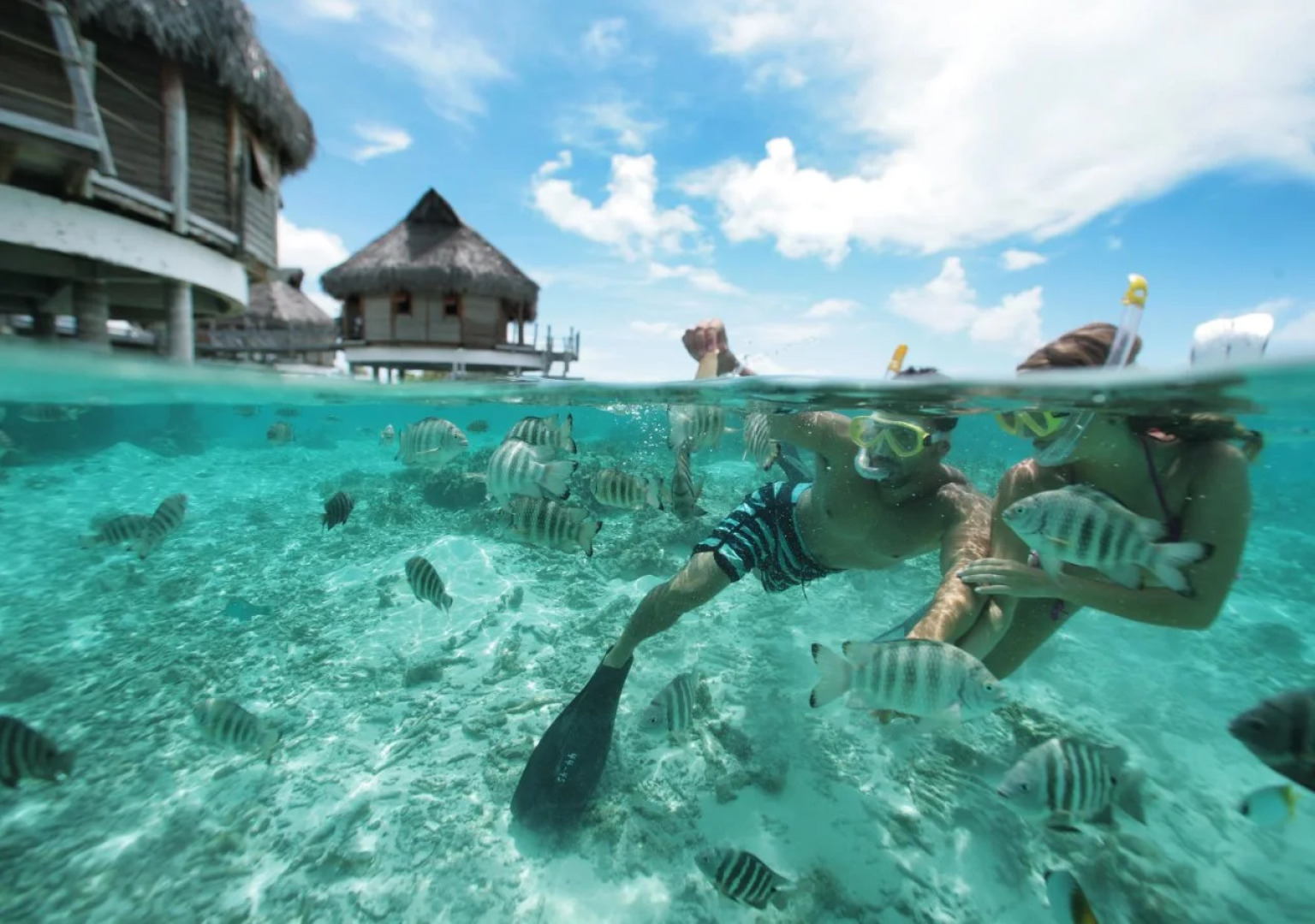 Le Tikehau by Pearl Resorts